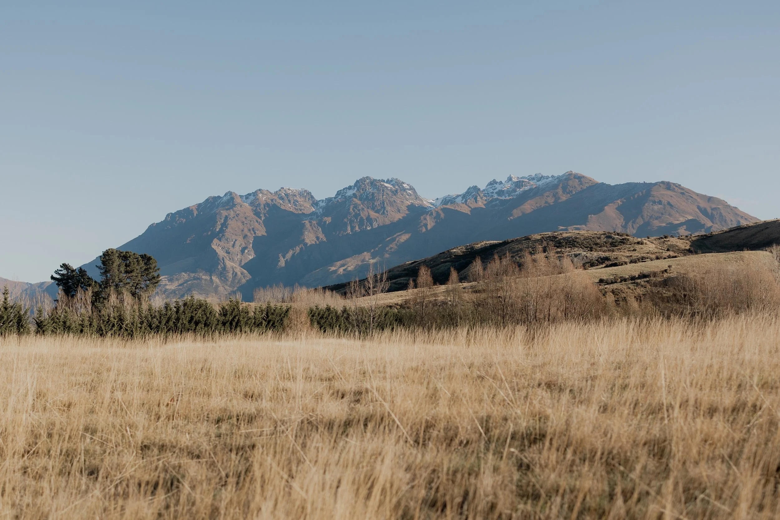 A view up over the hills towards the Queenstown mountains home of Otago Homes.