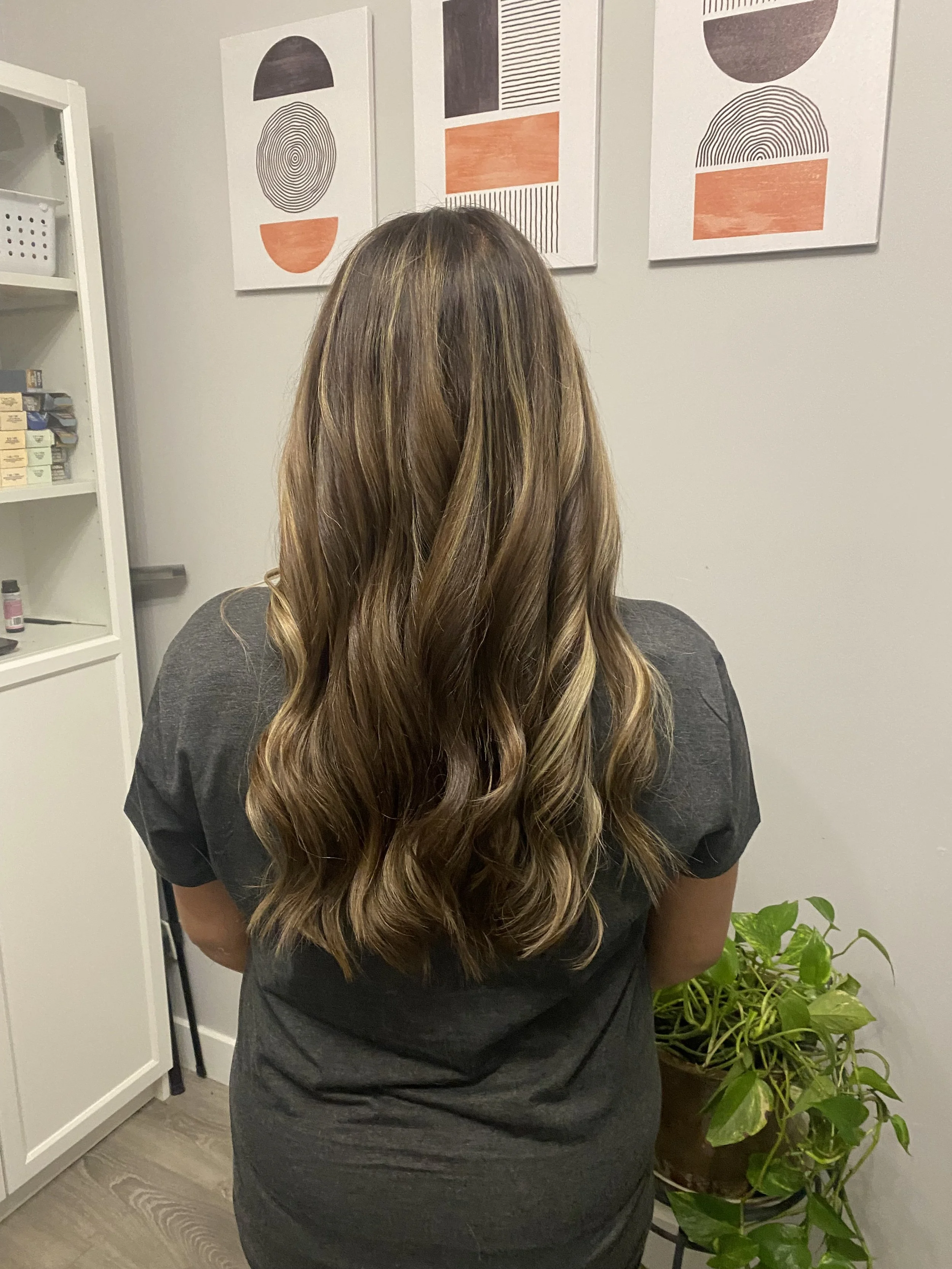 The back of a woman with long, wavy brown hair with blonde highlights, standing in a room with white walls, abstract art on the walls, a bookshelf, and a potted plant.