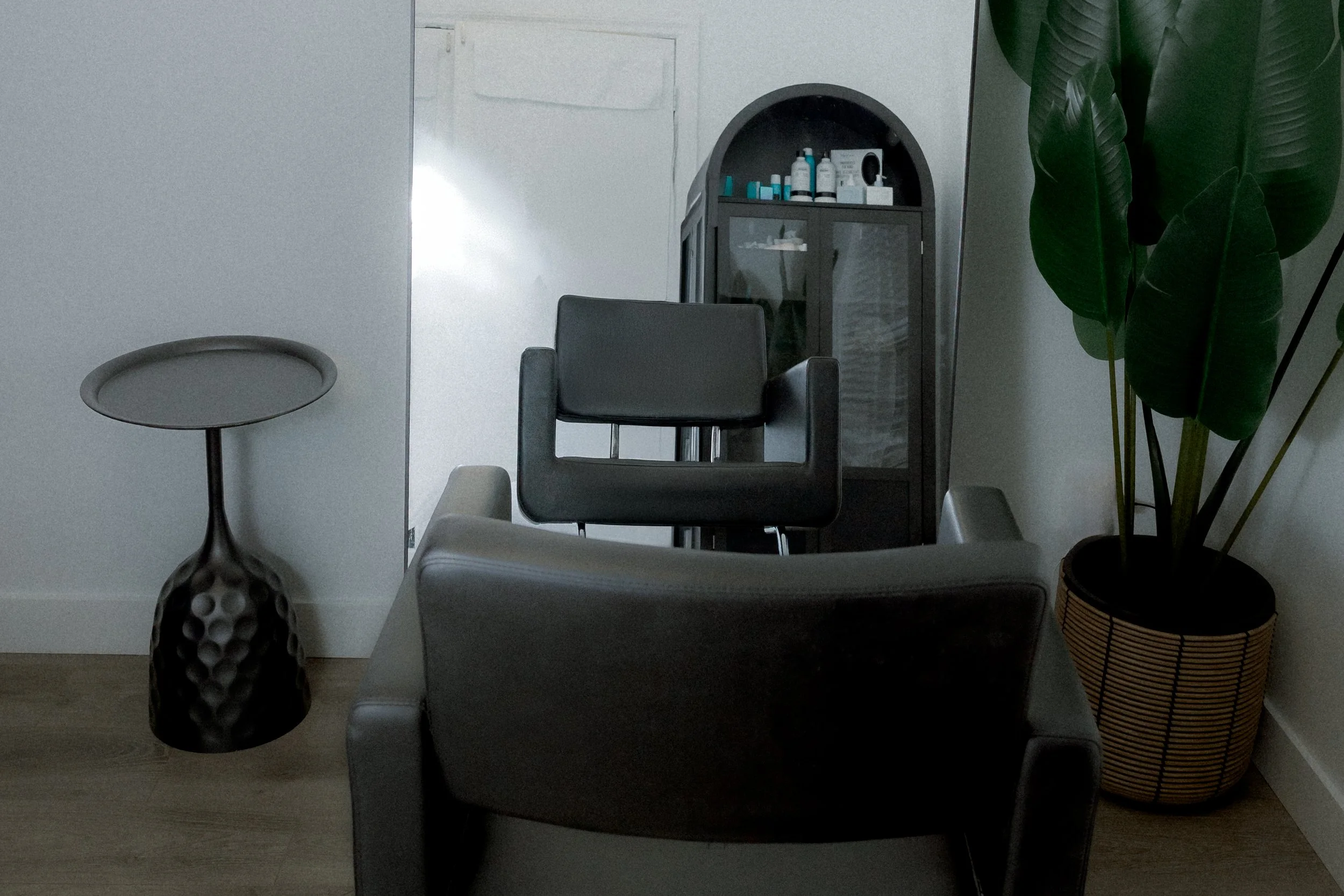 Interior of a modern room with two gray armchairs, a small black side table, a black display cabinet with bottles inside, and a large green plant in a striped pot.