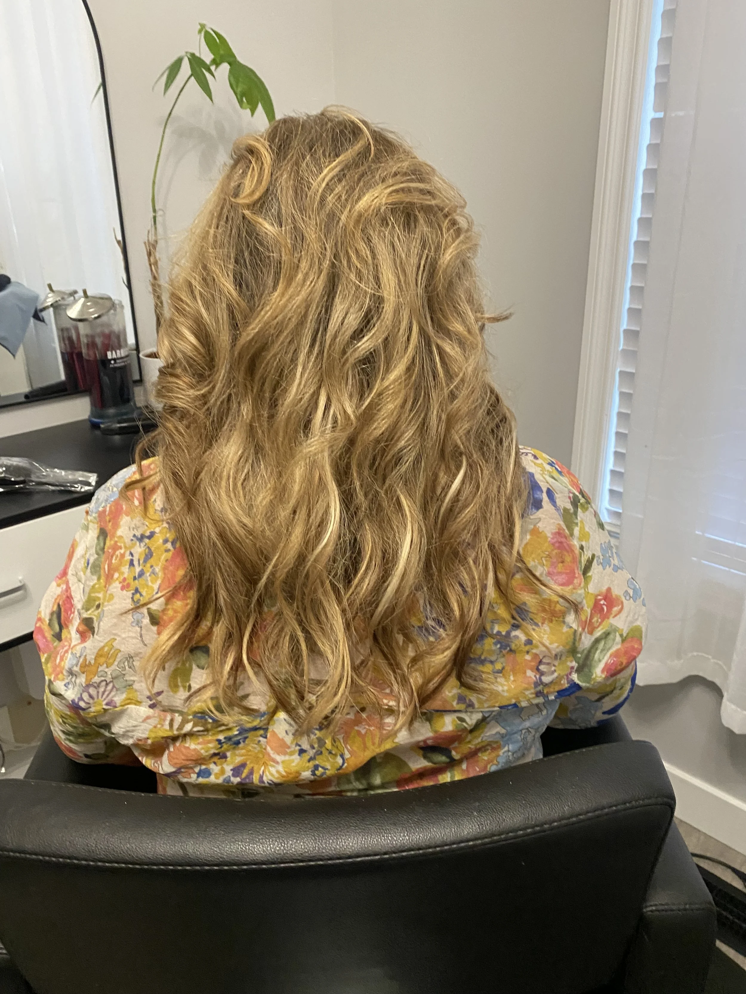 Back view of a woman with long, curly, blonde hair sitting in a black chair in a room with a mirror, a green plant, and white blinds.