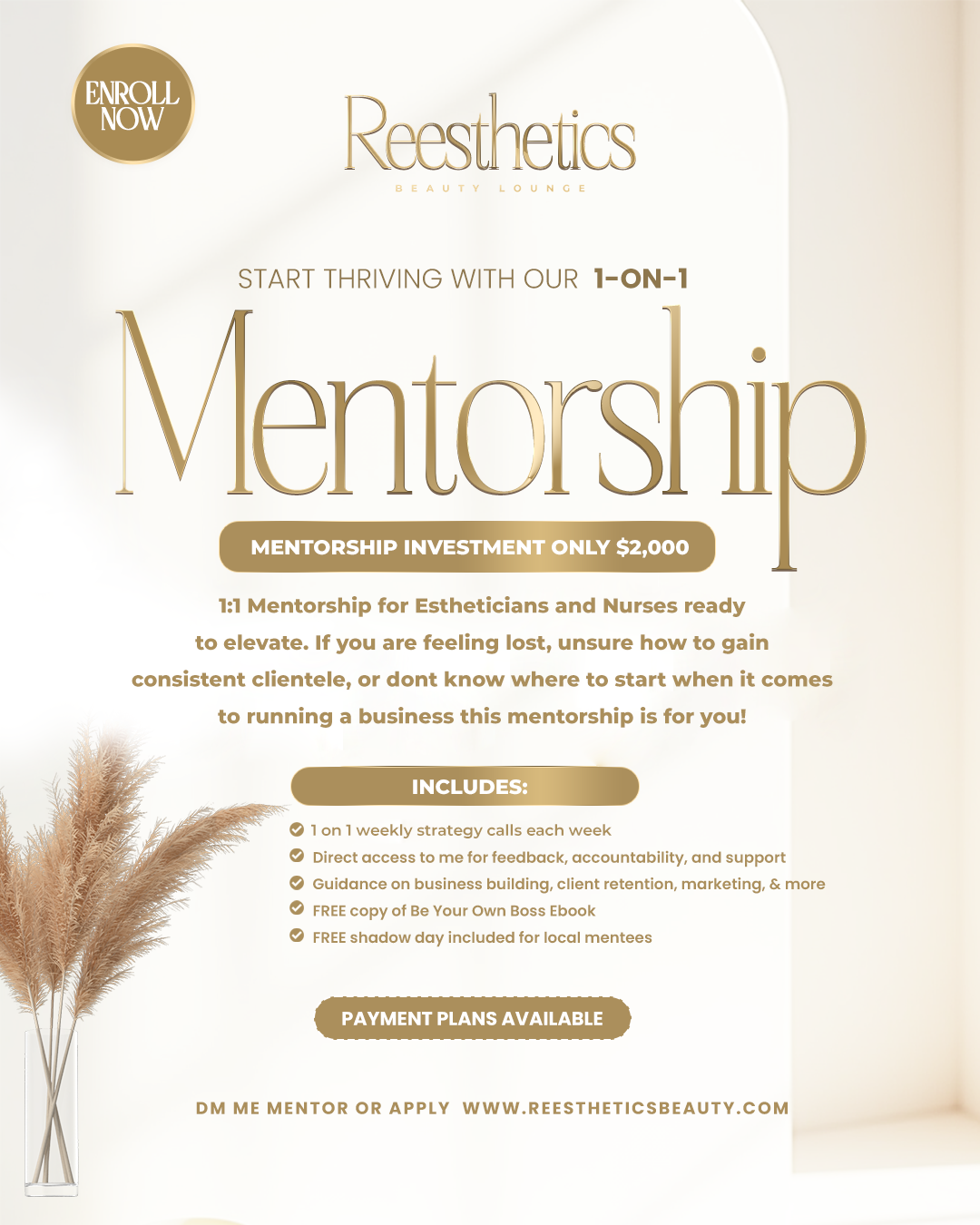 reestheticsd12mentorship u(1).png