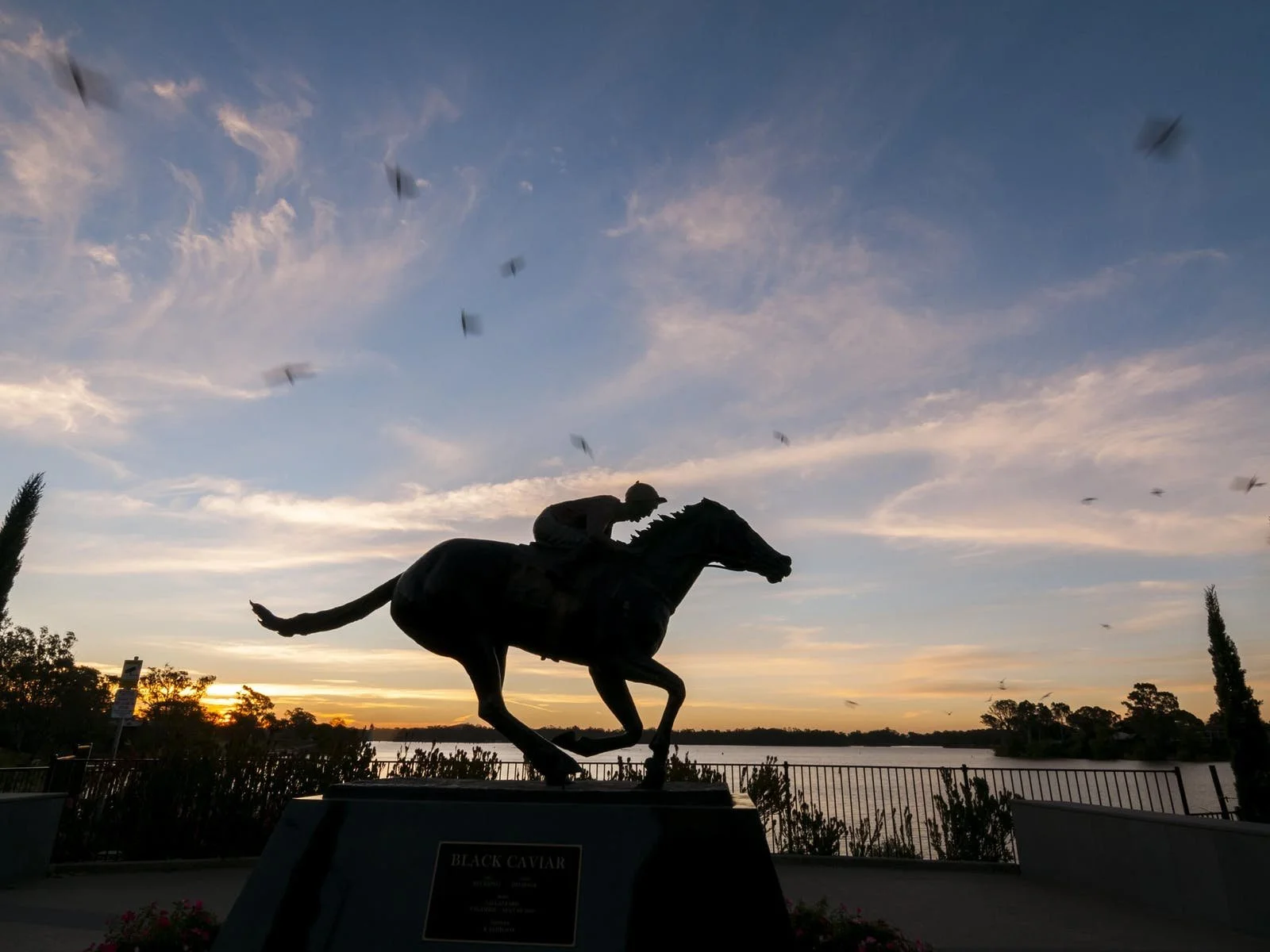 Silhouette of a horse statue with a rider, titled 'Black Caviar', against a sunset sky with scattered clouds and flying birds near a body of water.