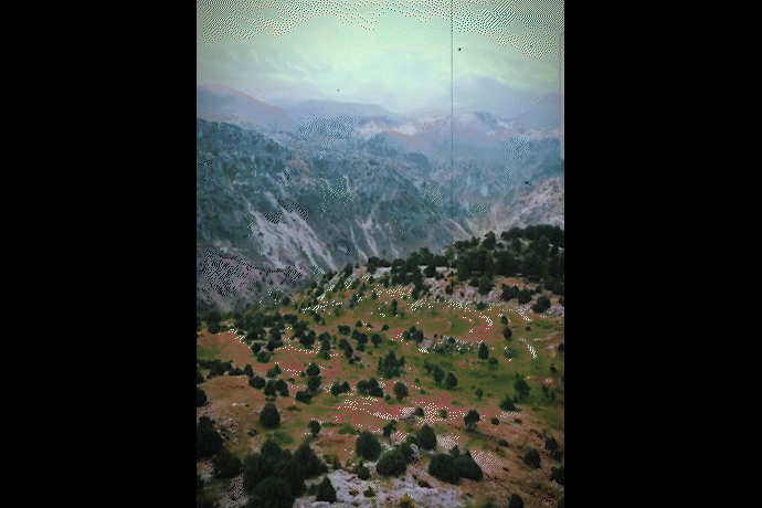 Flipbook Intro Video GIF.gif