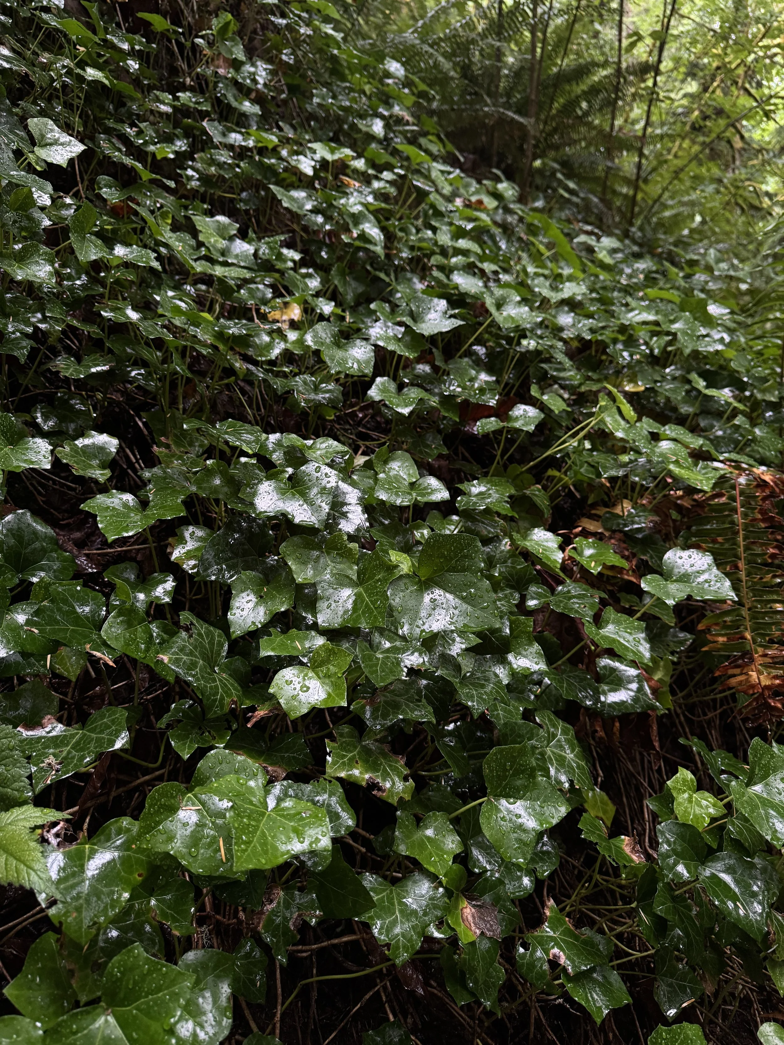 God See’s Your Doubt