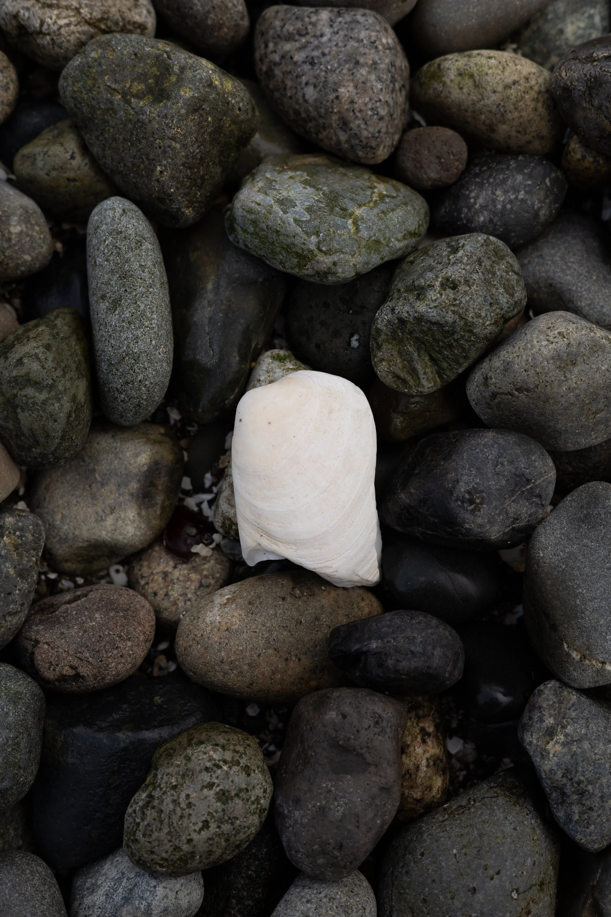 When God Feels Silent