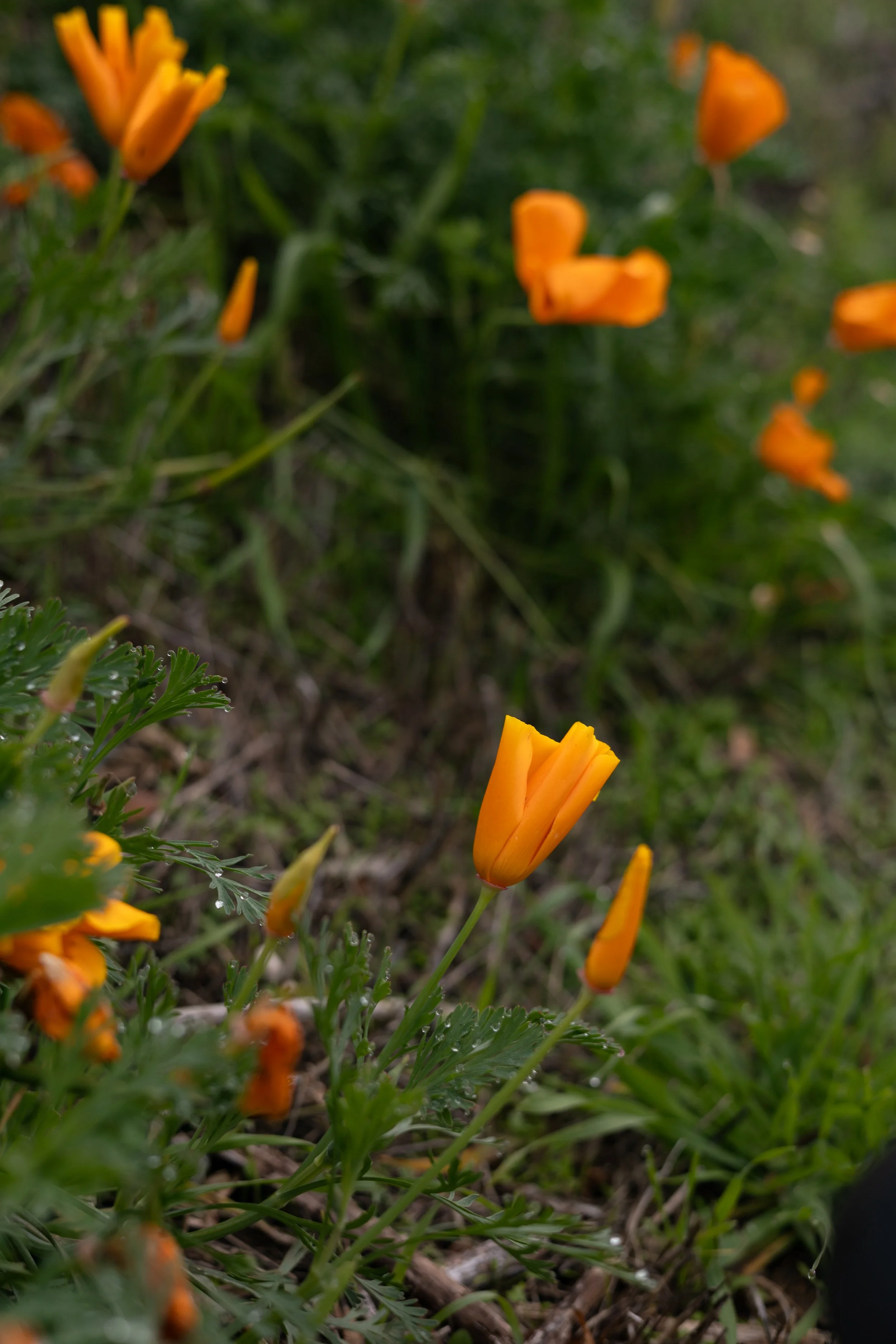 The Art of Loving Yourself