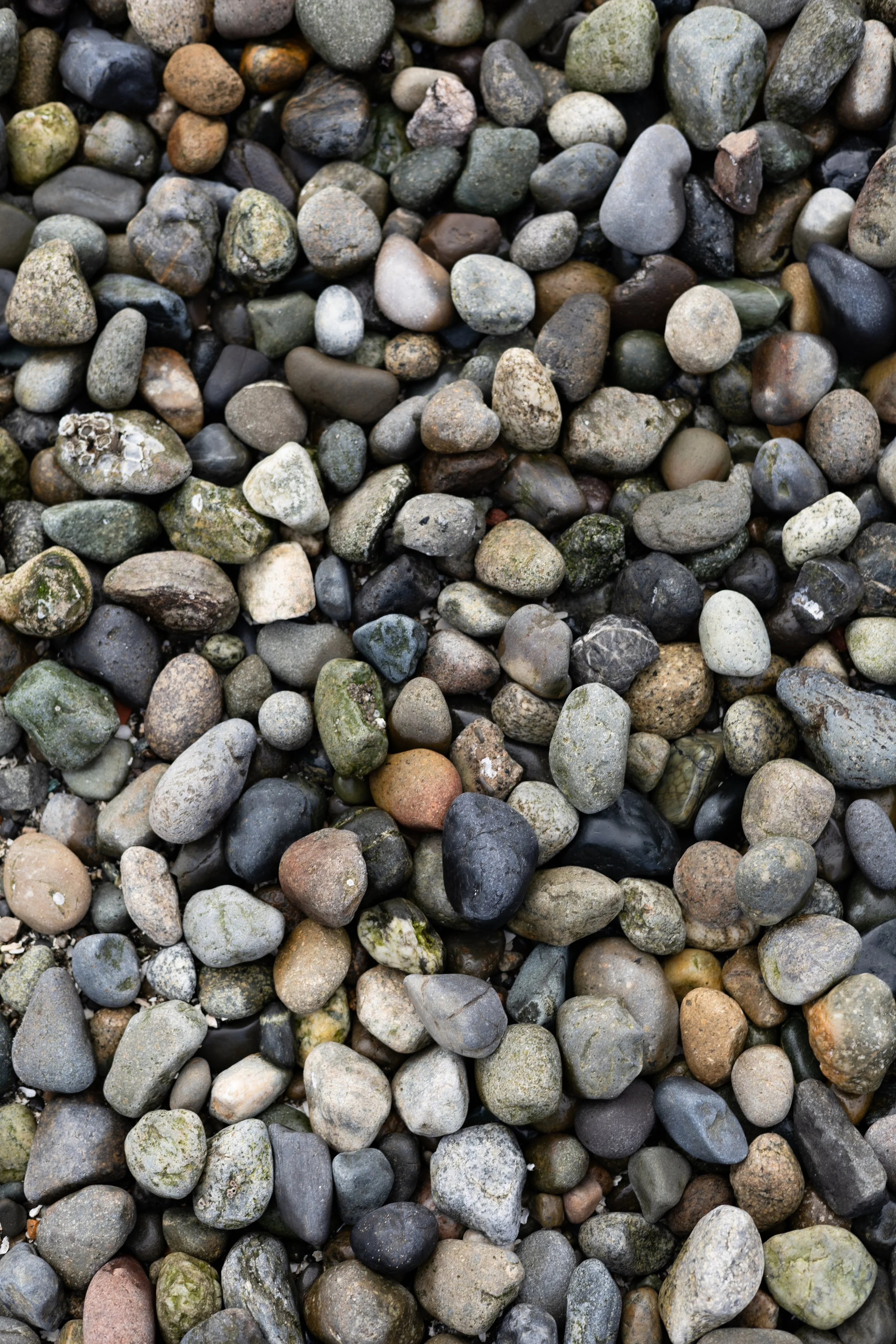 Mercy meets Judgment