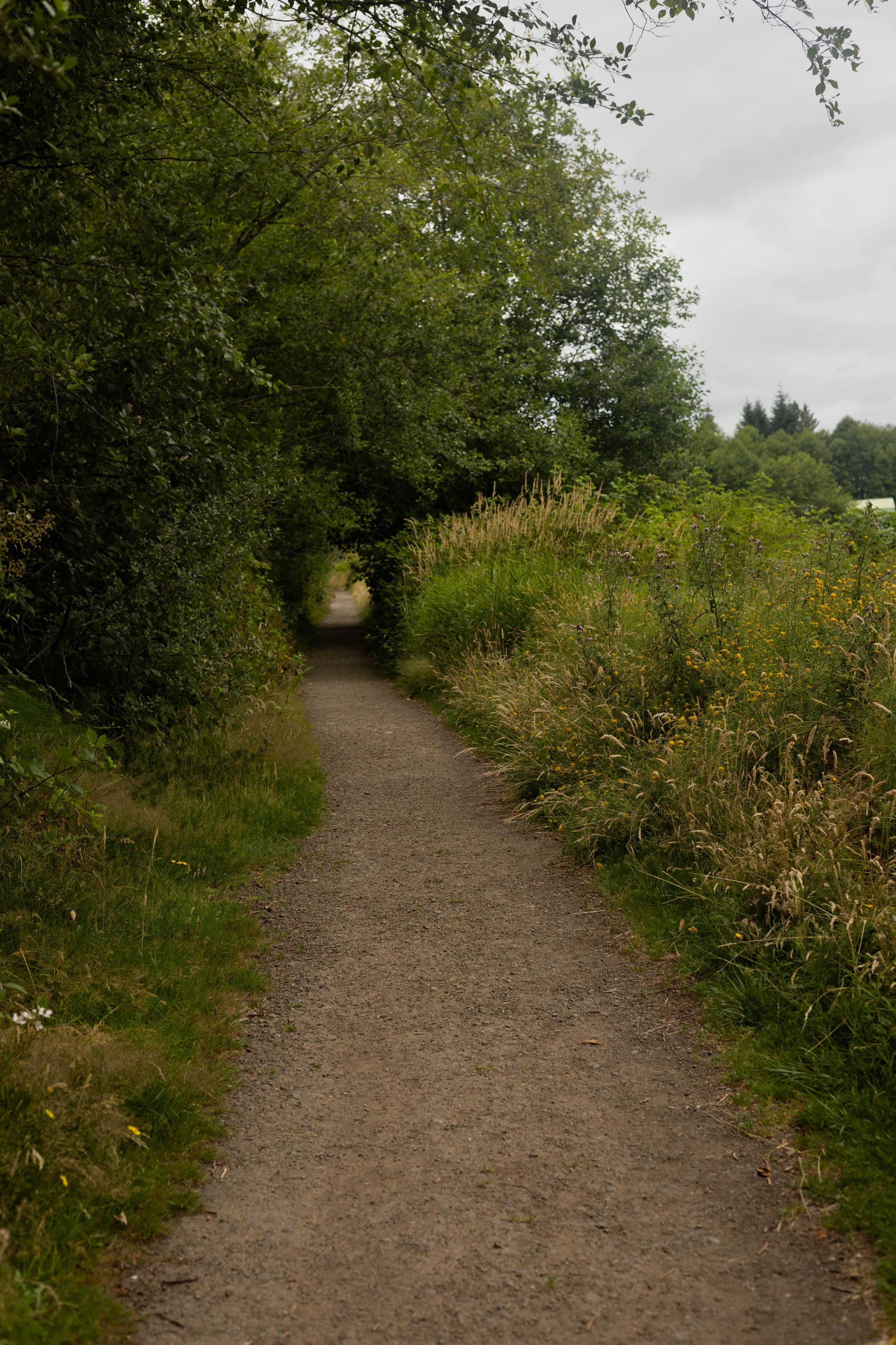 When Peace Feels Uncomfortable 