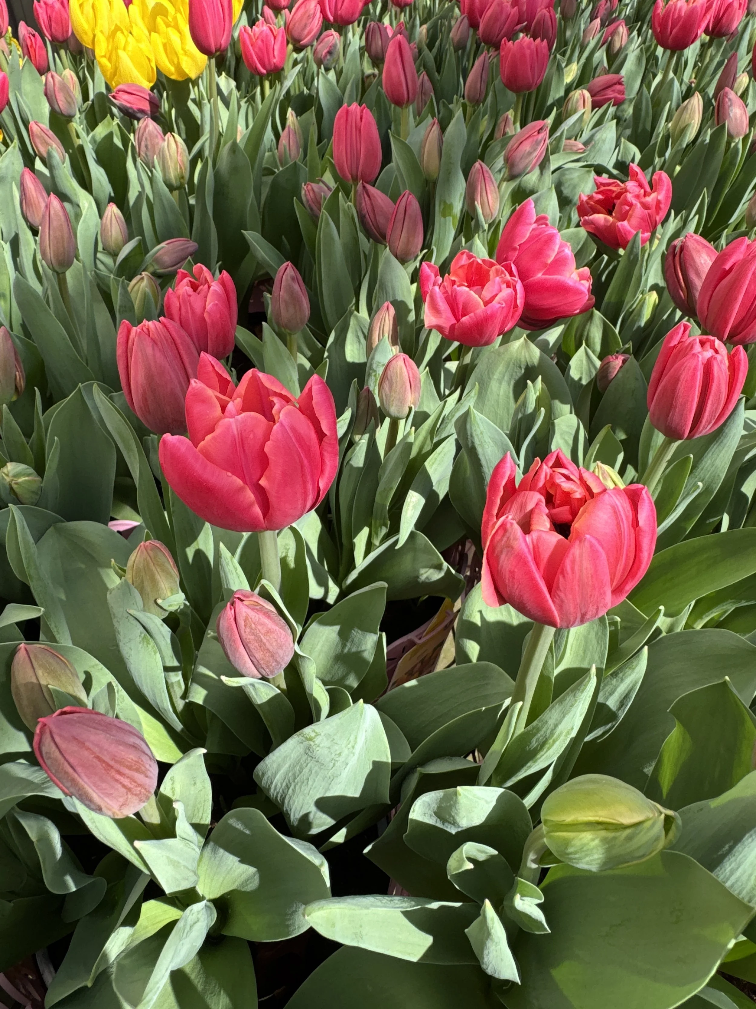 When It’s Uncomfortable 