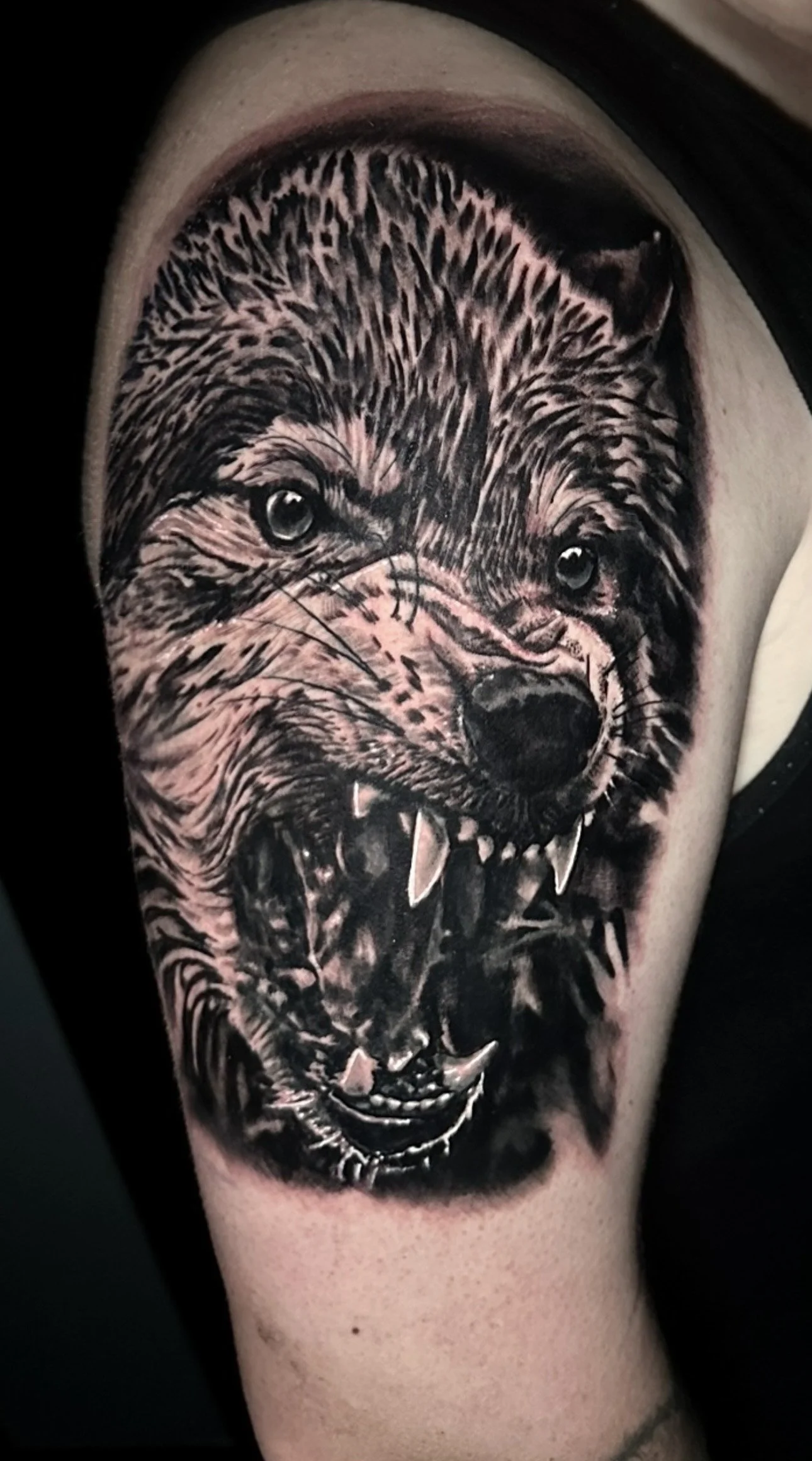 Black and gray tattoo of a fierce wolf with bared teeth and glowing eyes on a person's upper arm.