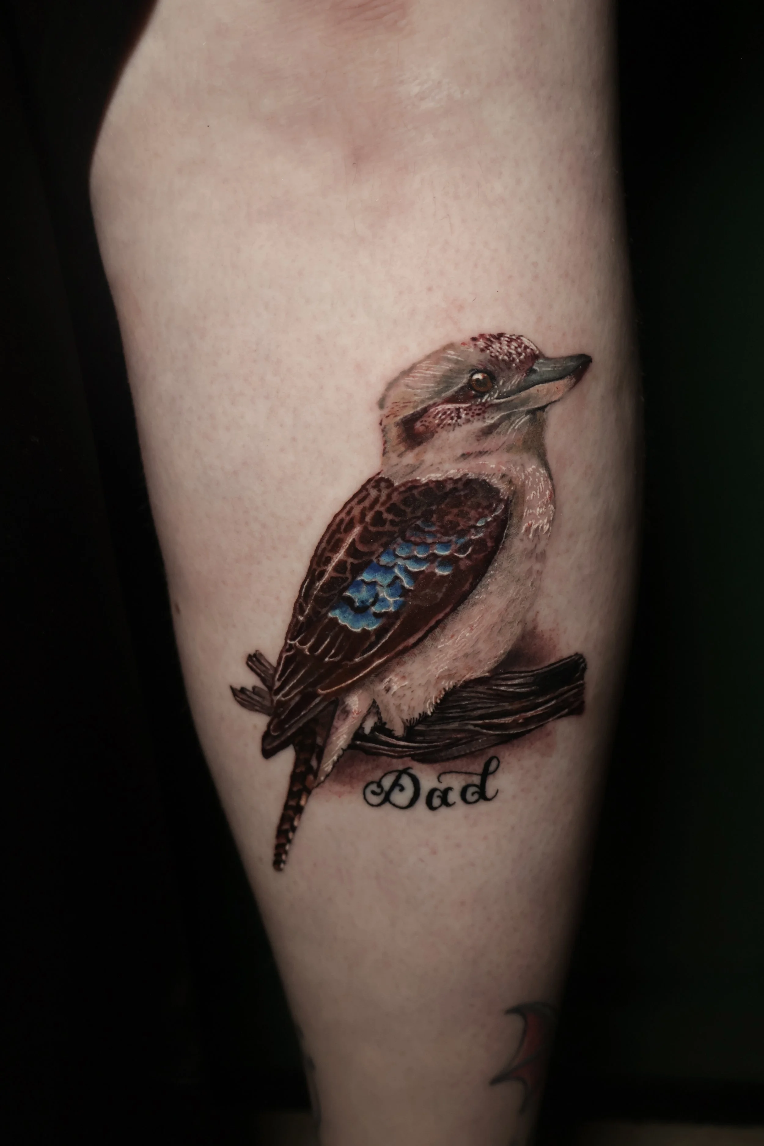 Tattoo of a detailed bird with blue and brown feathers and the word 'Dad' beneath it on a person's leg.