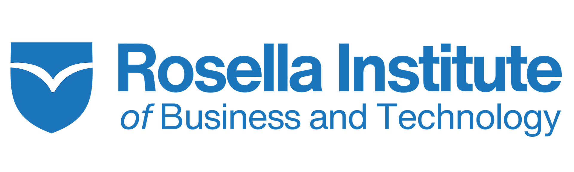 Diploma in Information Technology L4 | Advance Your IT Career Today —  Rosella Institute, image size:1920x576