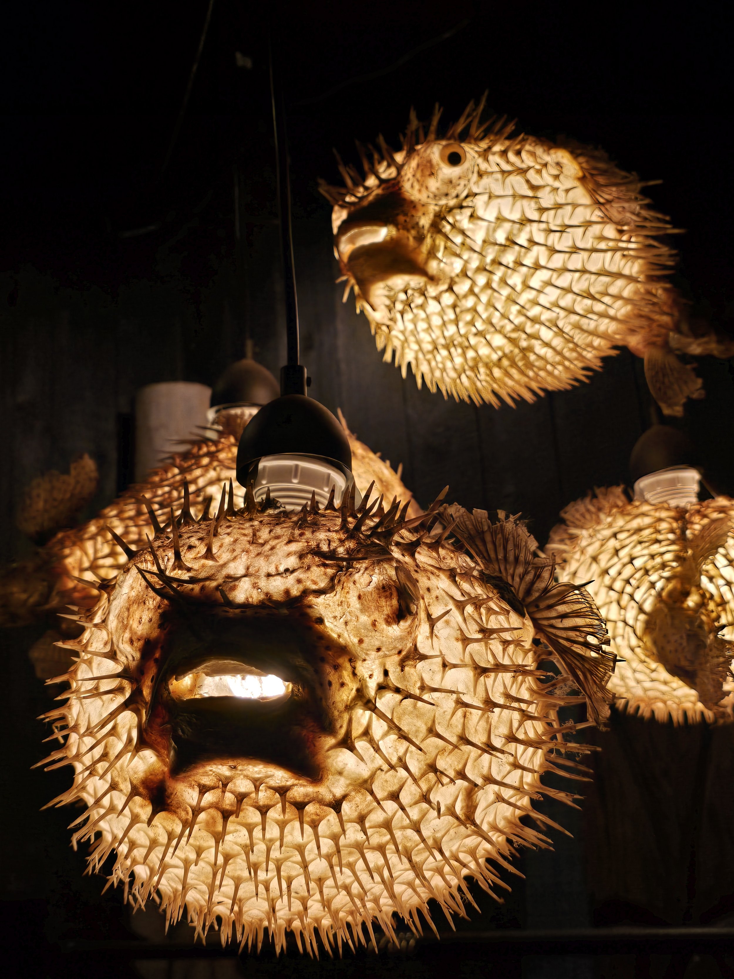 When the Timing Finally Caught Up