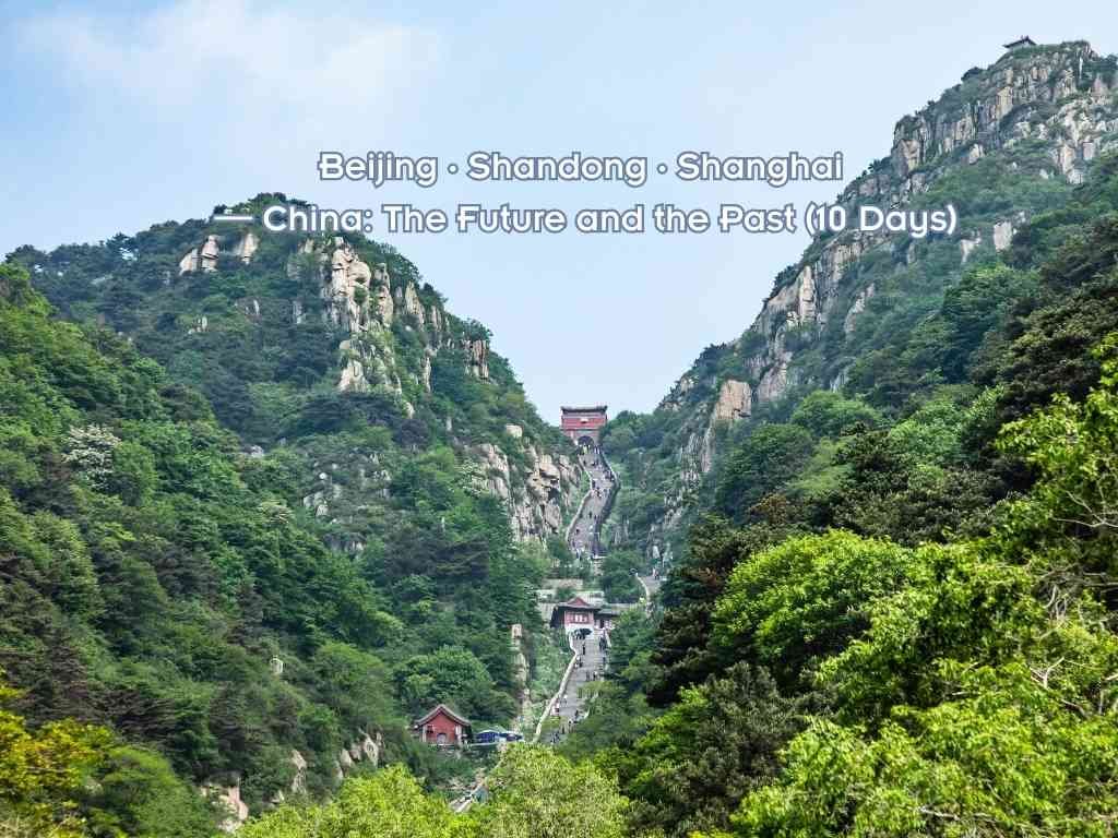 Beijing · Shandong · Shanghai