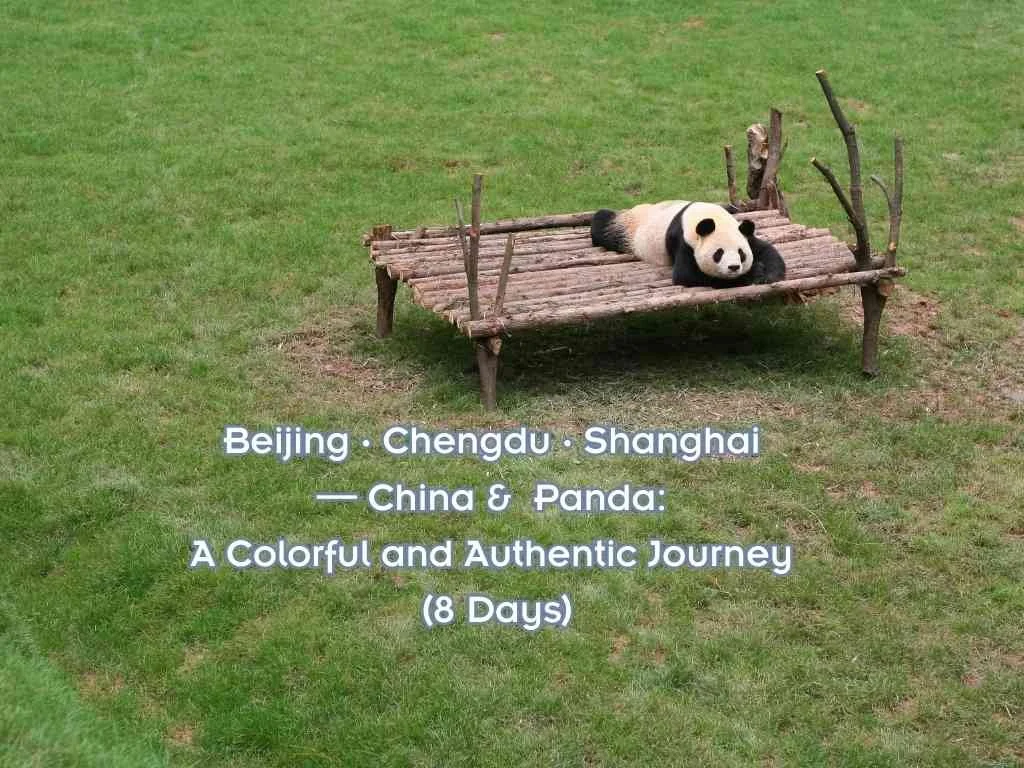 Beijing · Chengdu · Shanghai