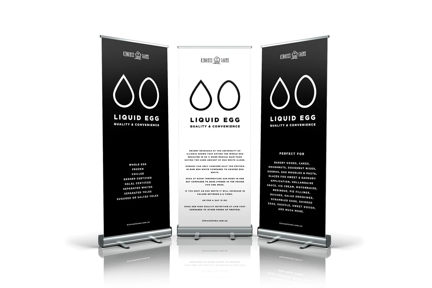 102design_rollup_mockup_scene001.jpg