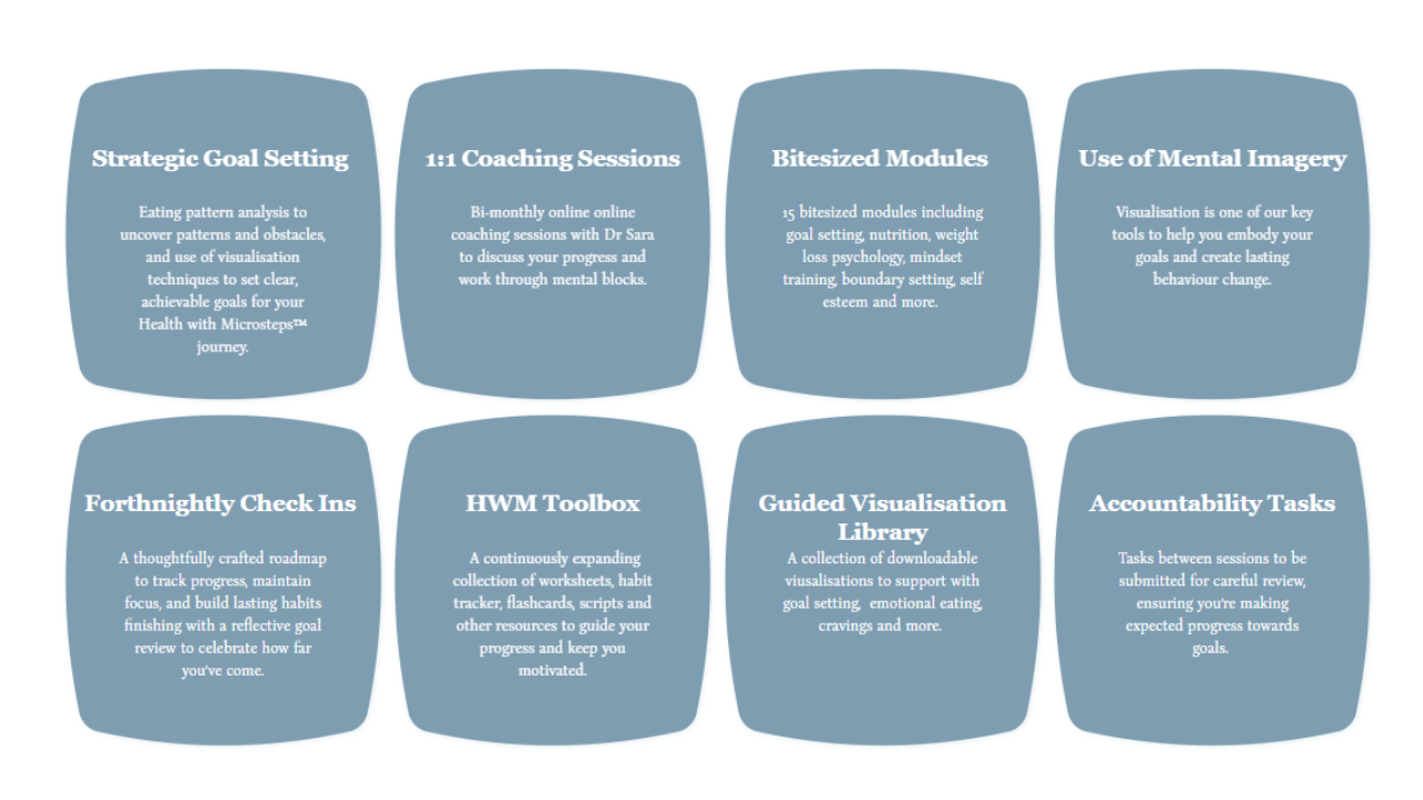 A grid of eight rounded blue boxes with white text, each describing different coaching program features such as goal setting, coaching sessions, modules, visualization, check-ins, toolbox, visual library, and accountability tasks.