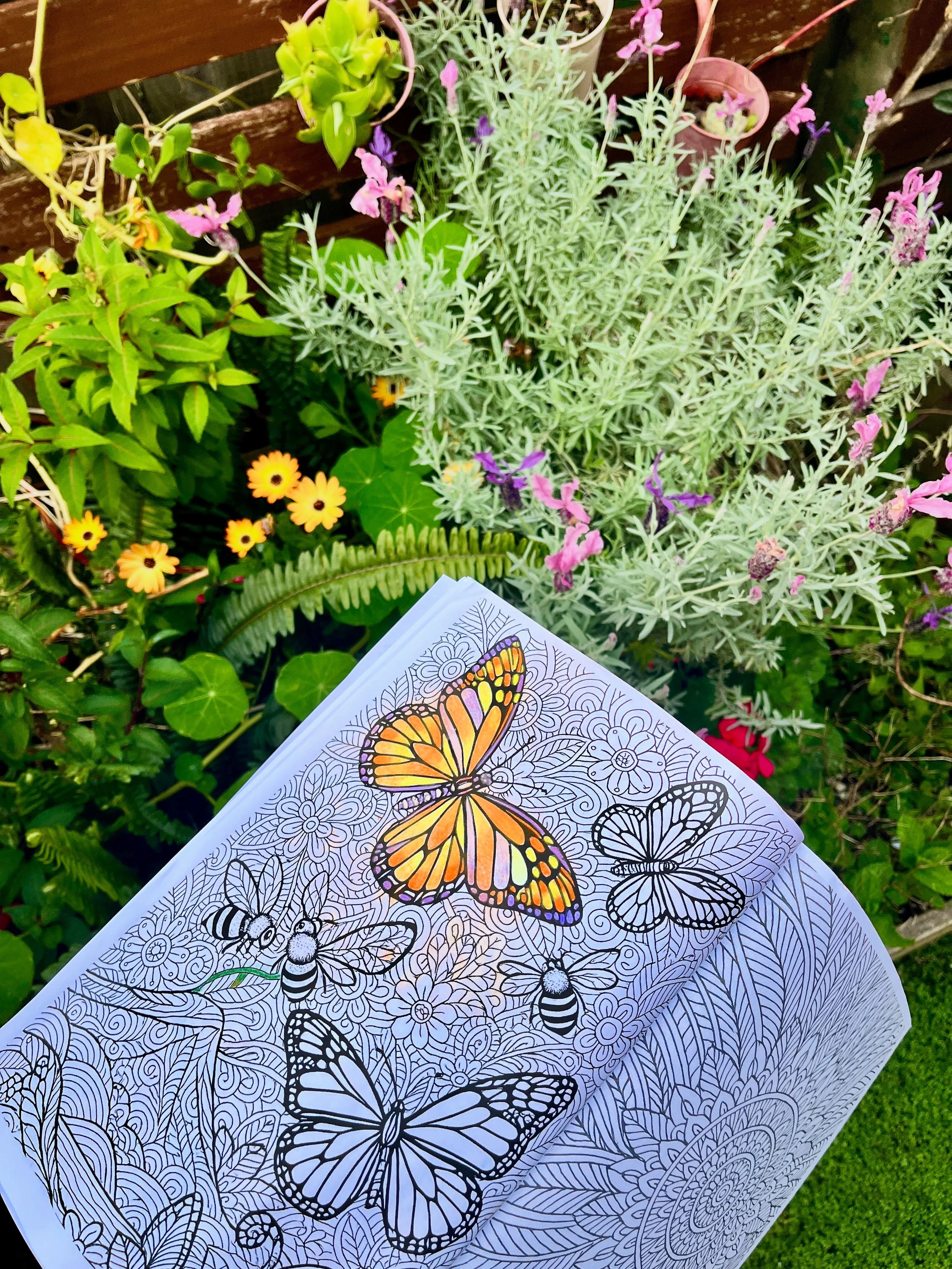 Mood Muse Zen Colouring Social Media .JPG