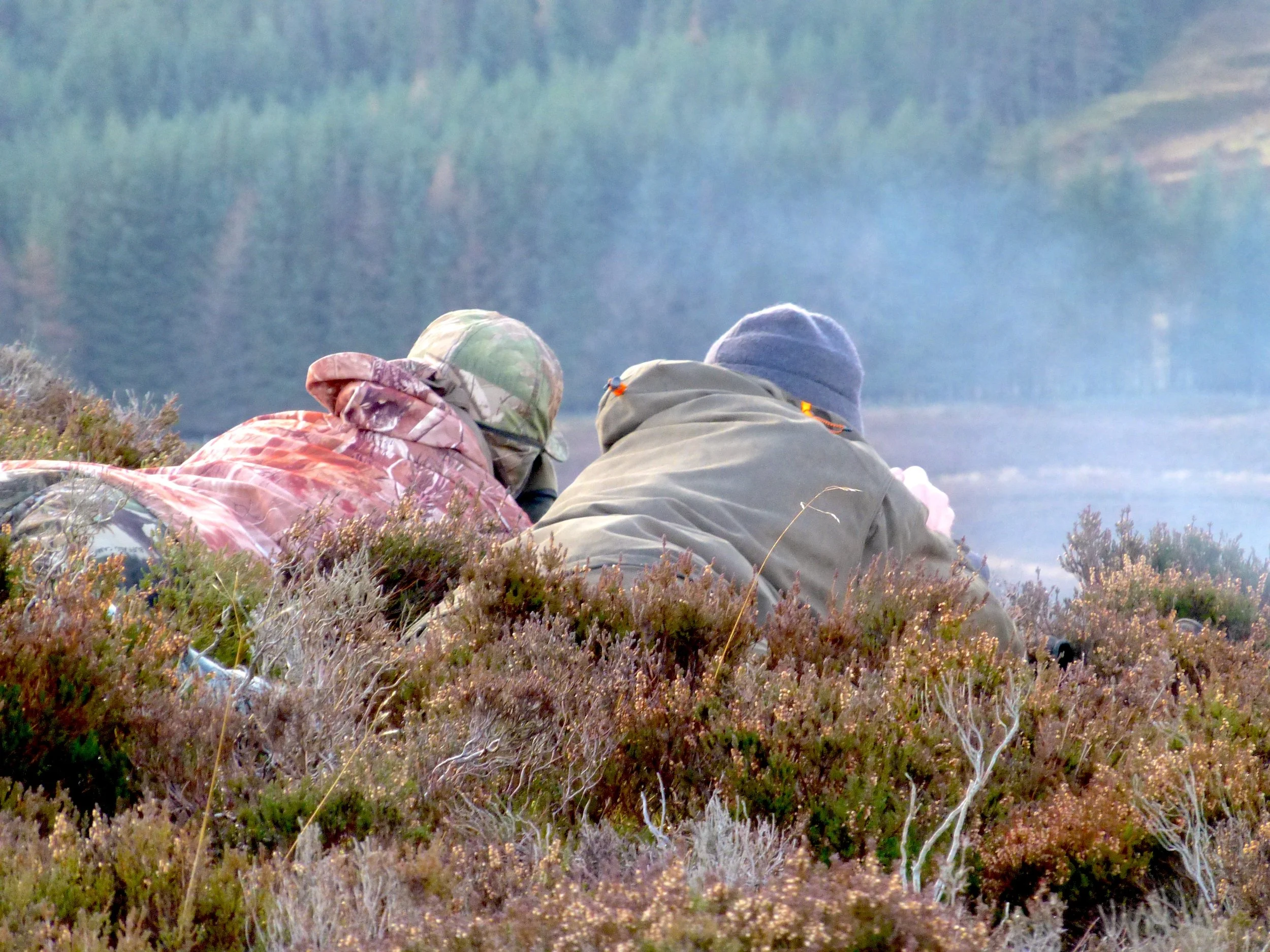 Stalkers lying in heather.JPG