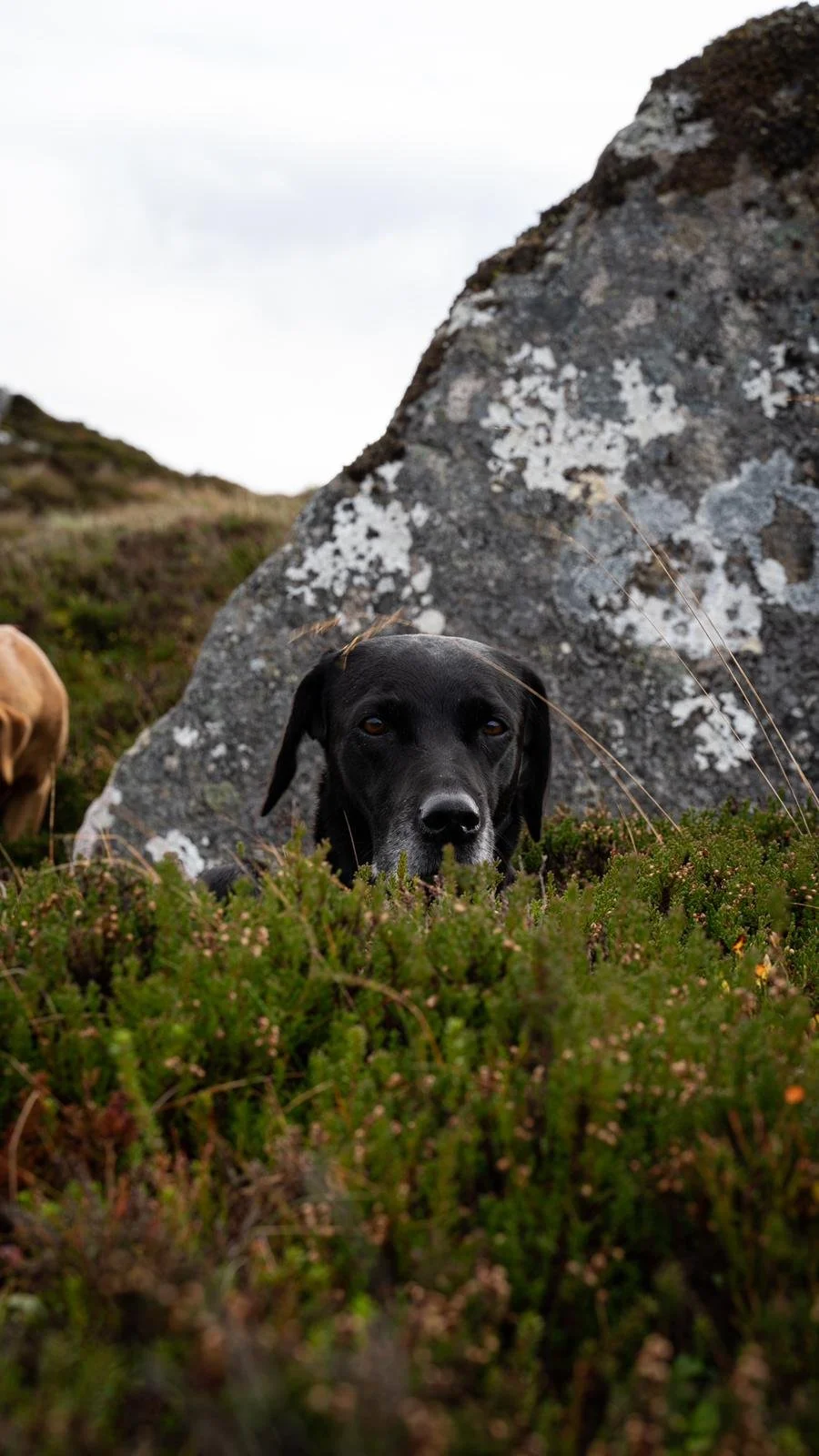 woodmill-shootings-21 copy.jpeg