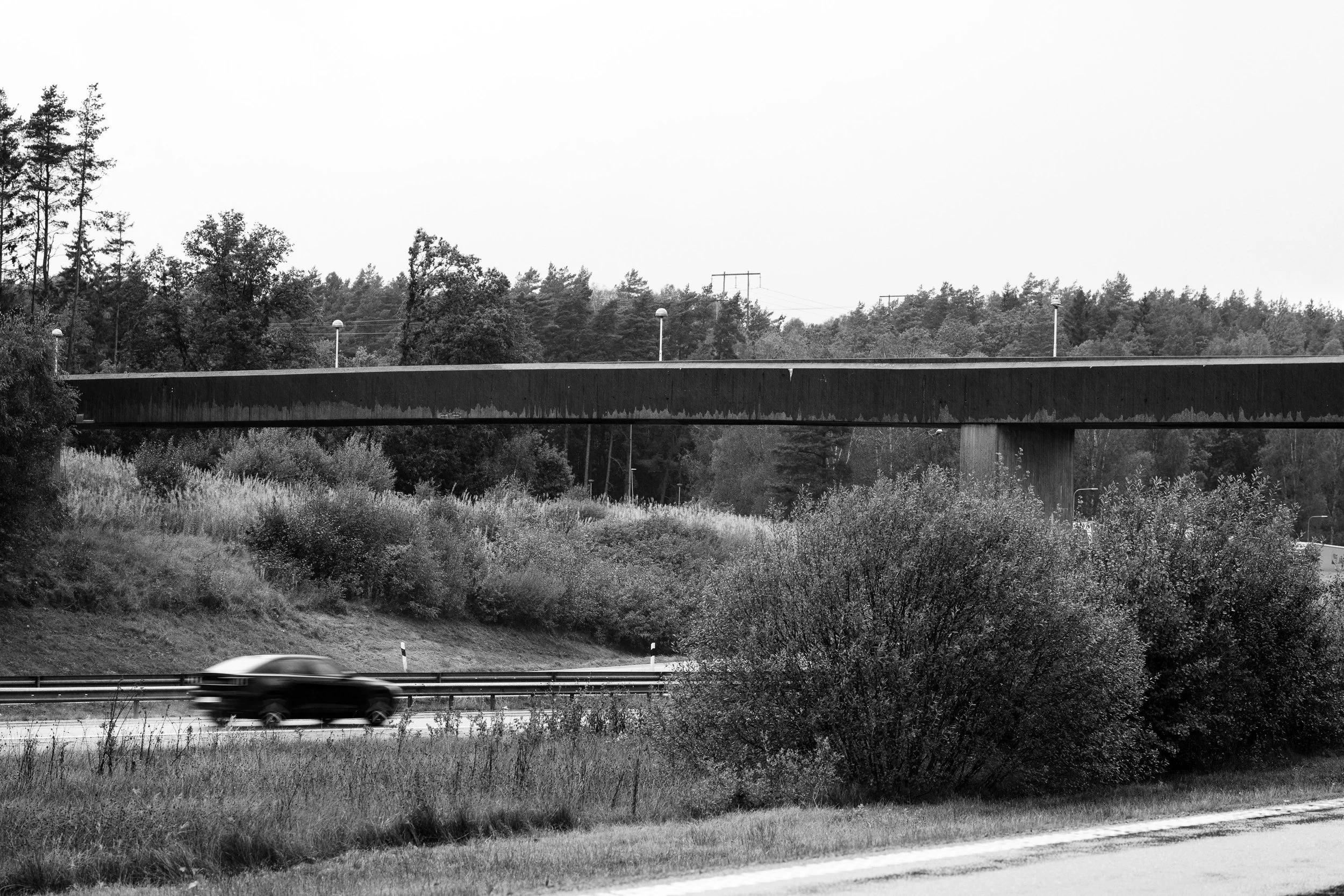Black and white photo of a moving car on a highway with trees, shrubs, and a bridge overhead.