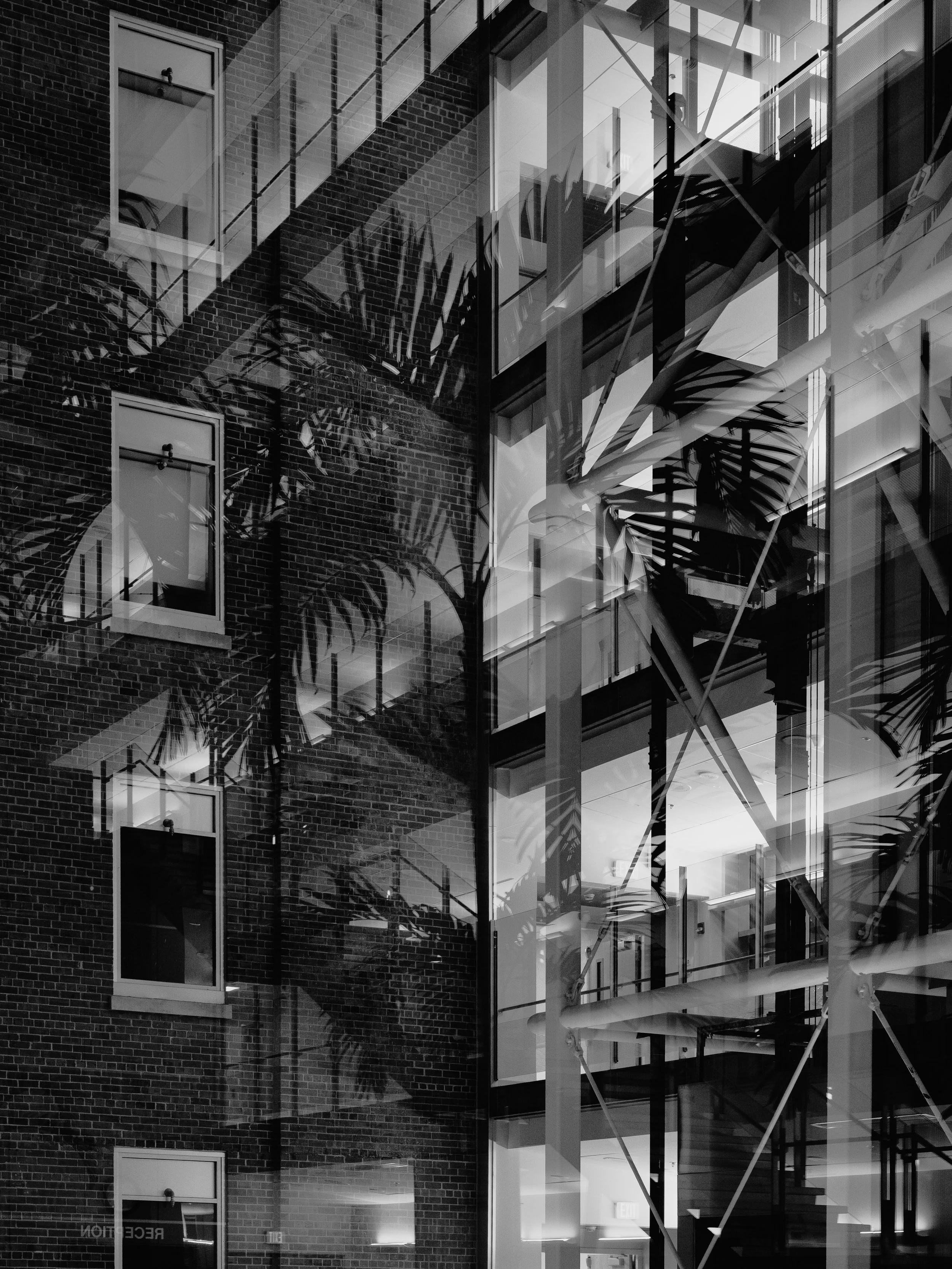 Reflections in the healing garden
