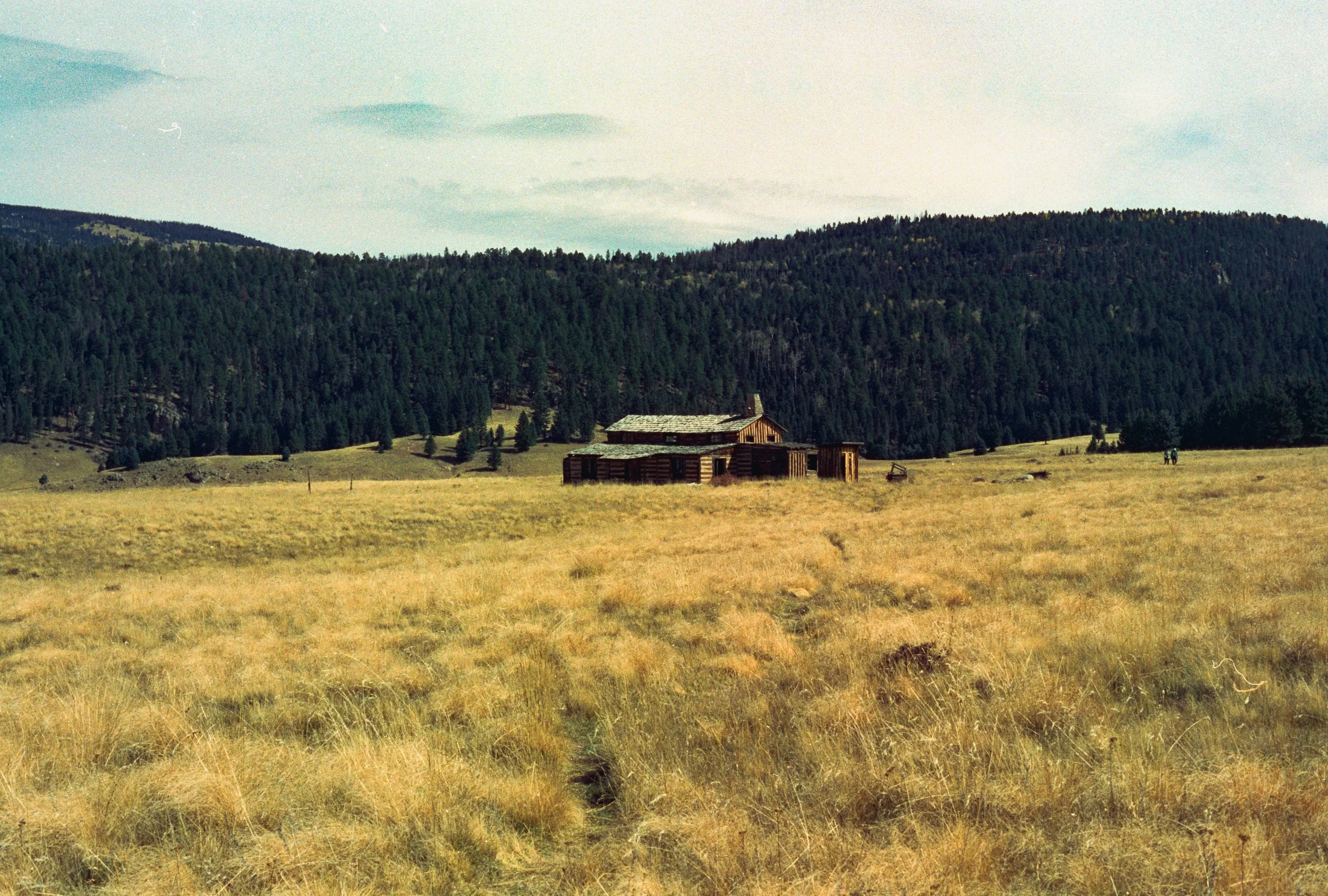 🌲 🤎 Fuji 400