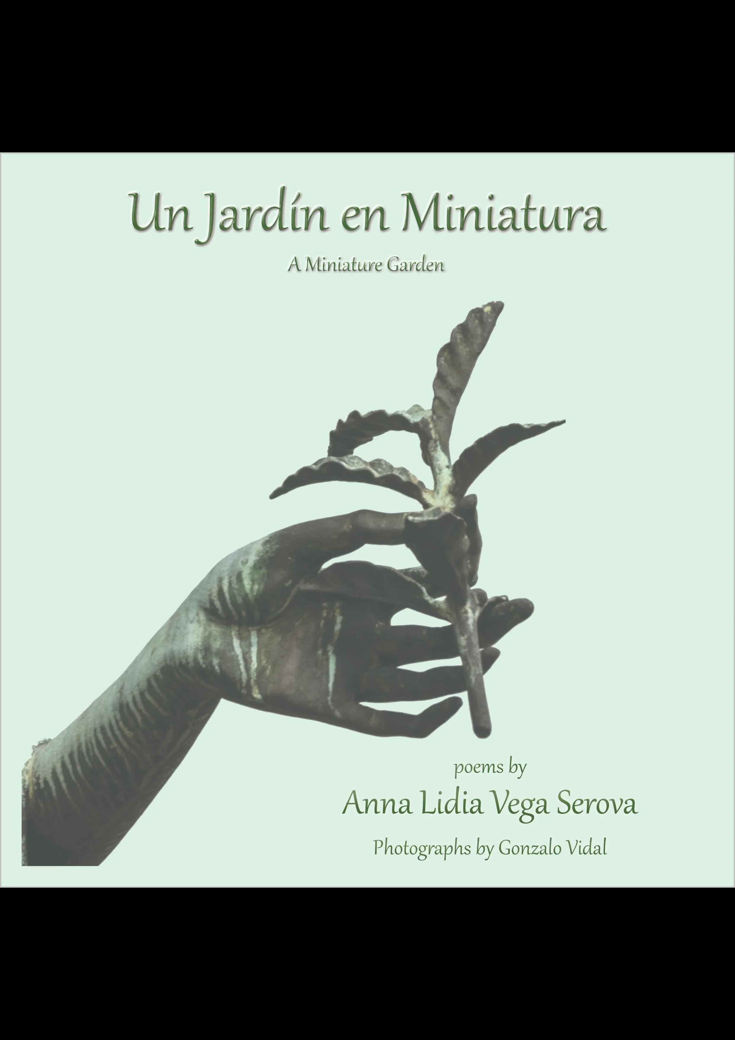 Jardin-en-Miniatura_cover_portrait.jpg