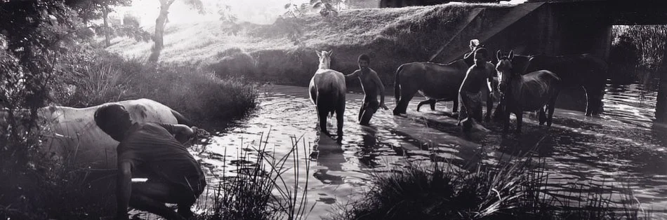 Lorenzo DeStefano, 'Horsewash, Bayamo'