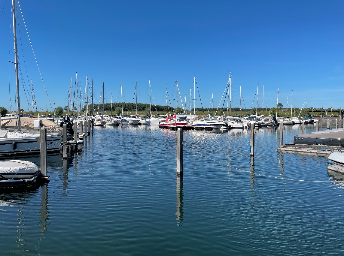 Schermafbeelding 2022-07-01 om 15.32.53.png