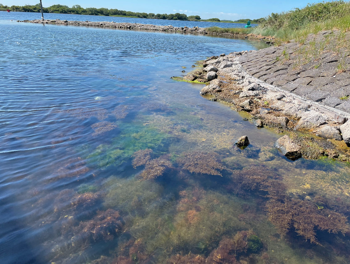 Schermafbeelding 2022-07-01 om 15.32.24.png