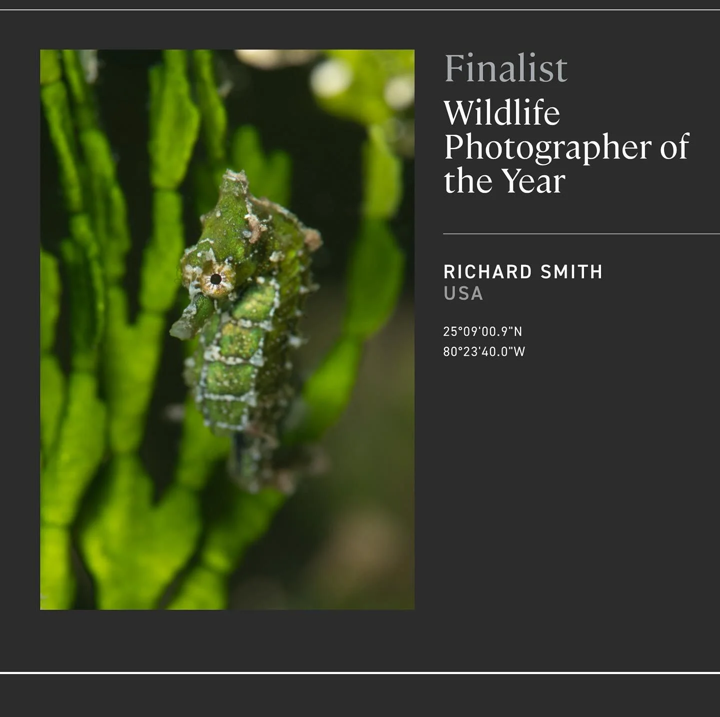 A couple of weeks ago I swapped the sleepy shire for the bright lights of London to attend the @OPY_awards &mdash; and what a night it was! Huge thanks to @oceanographic_mag, @blancpain1735, and Kanaloa House for hosting such a brilliant celebration 