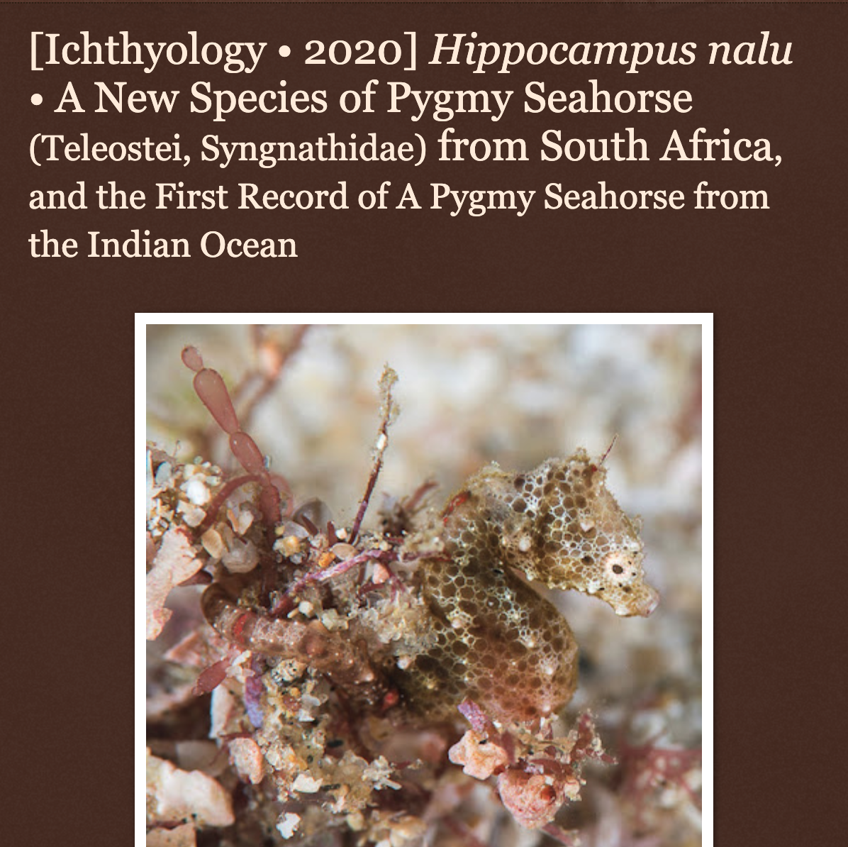 Screenshot 2025-07-04 at 12.14.17.png