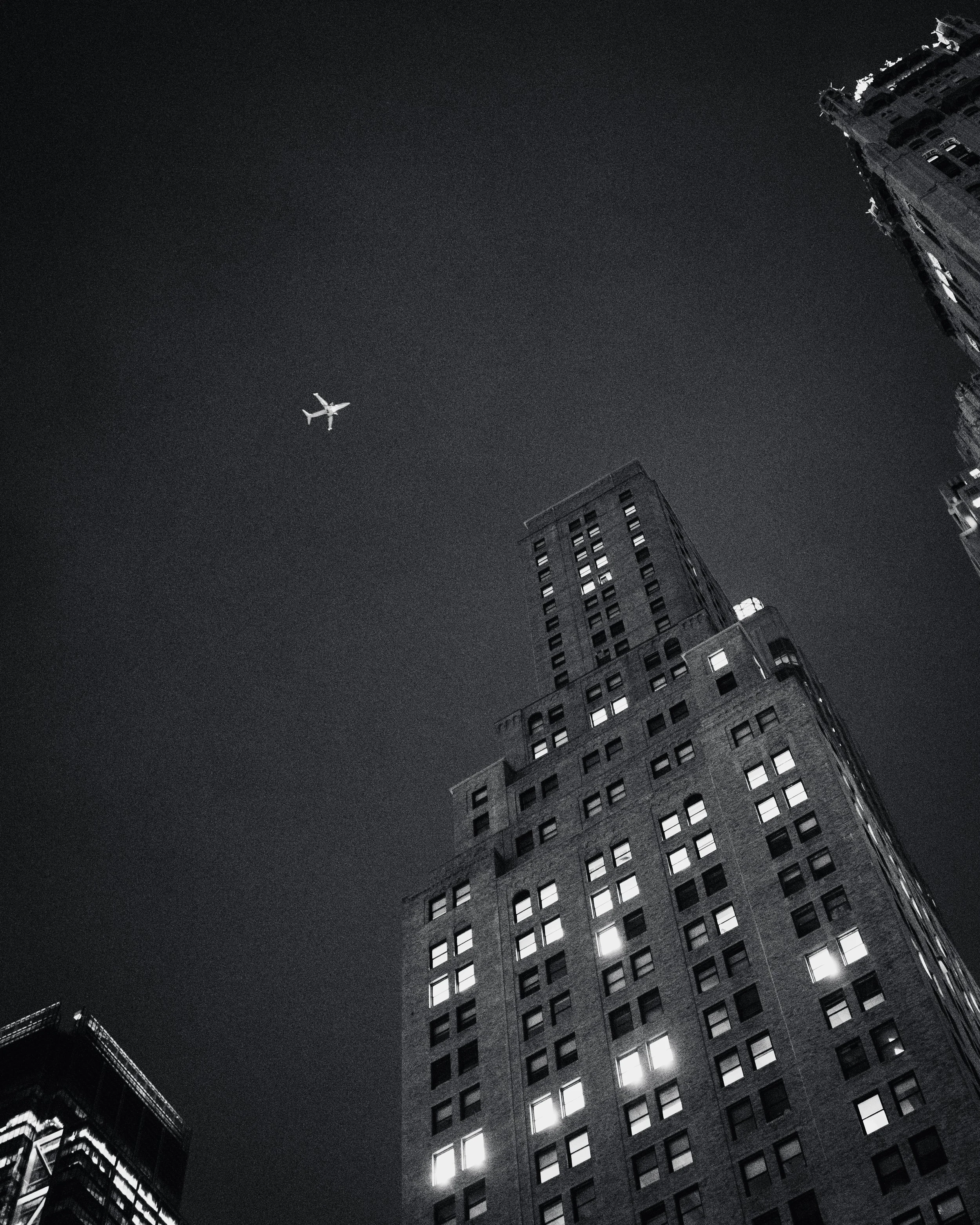 L1010320-2.jpg