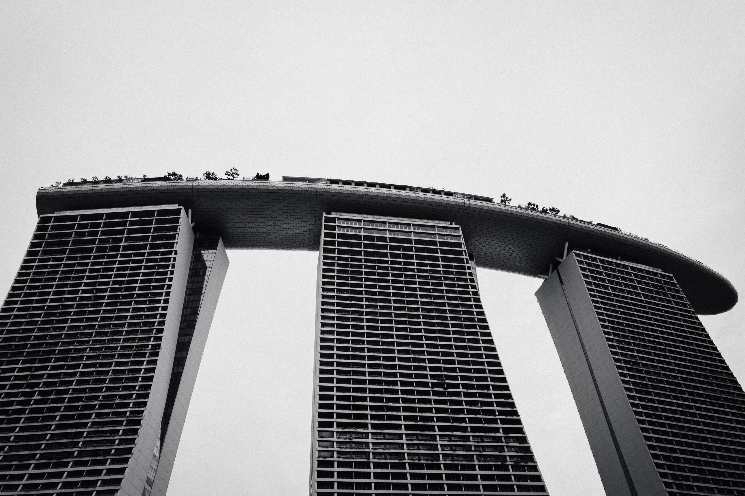 L1051026.jpg