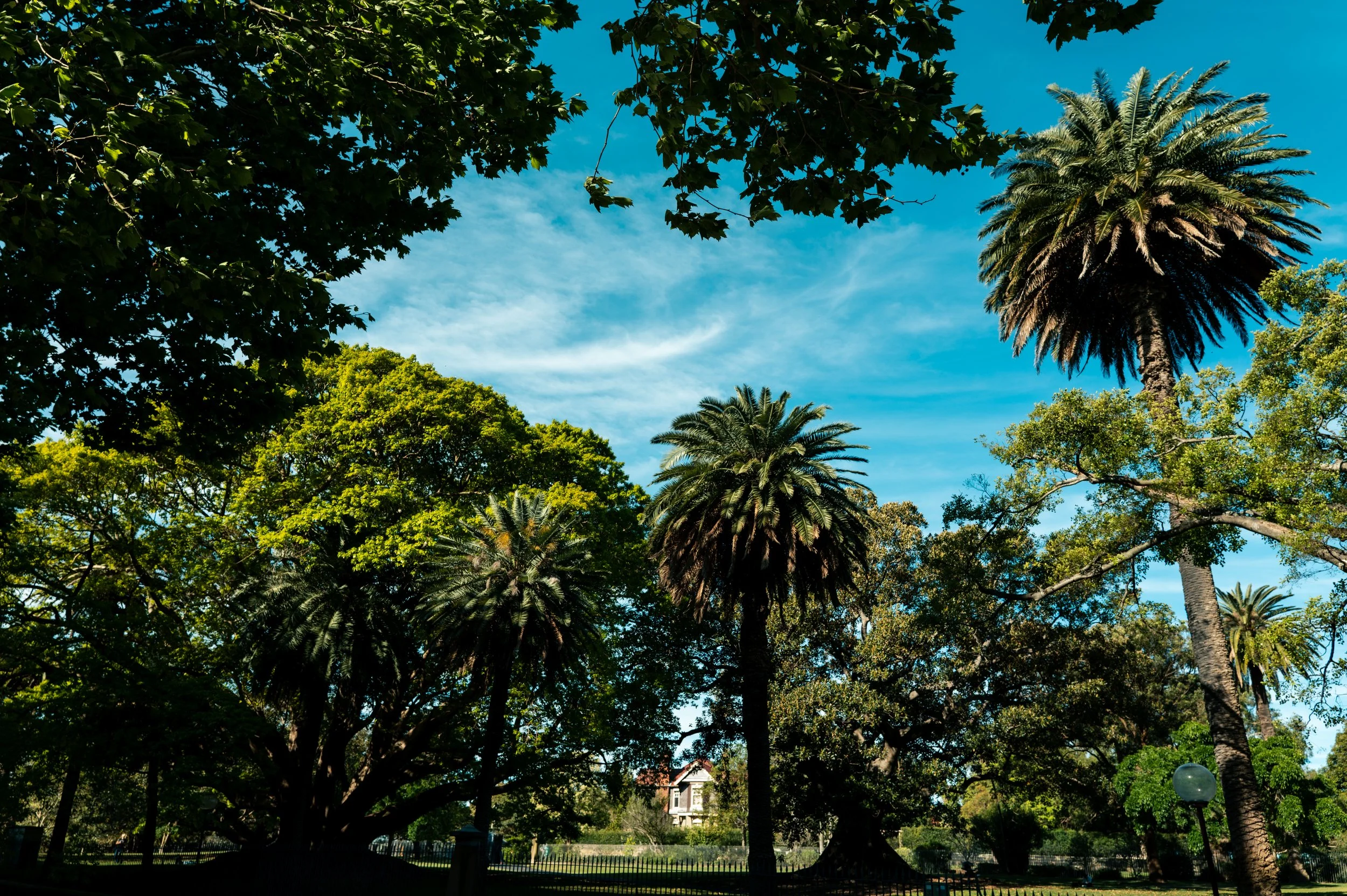 L1031030.jpg