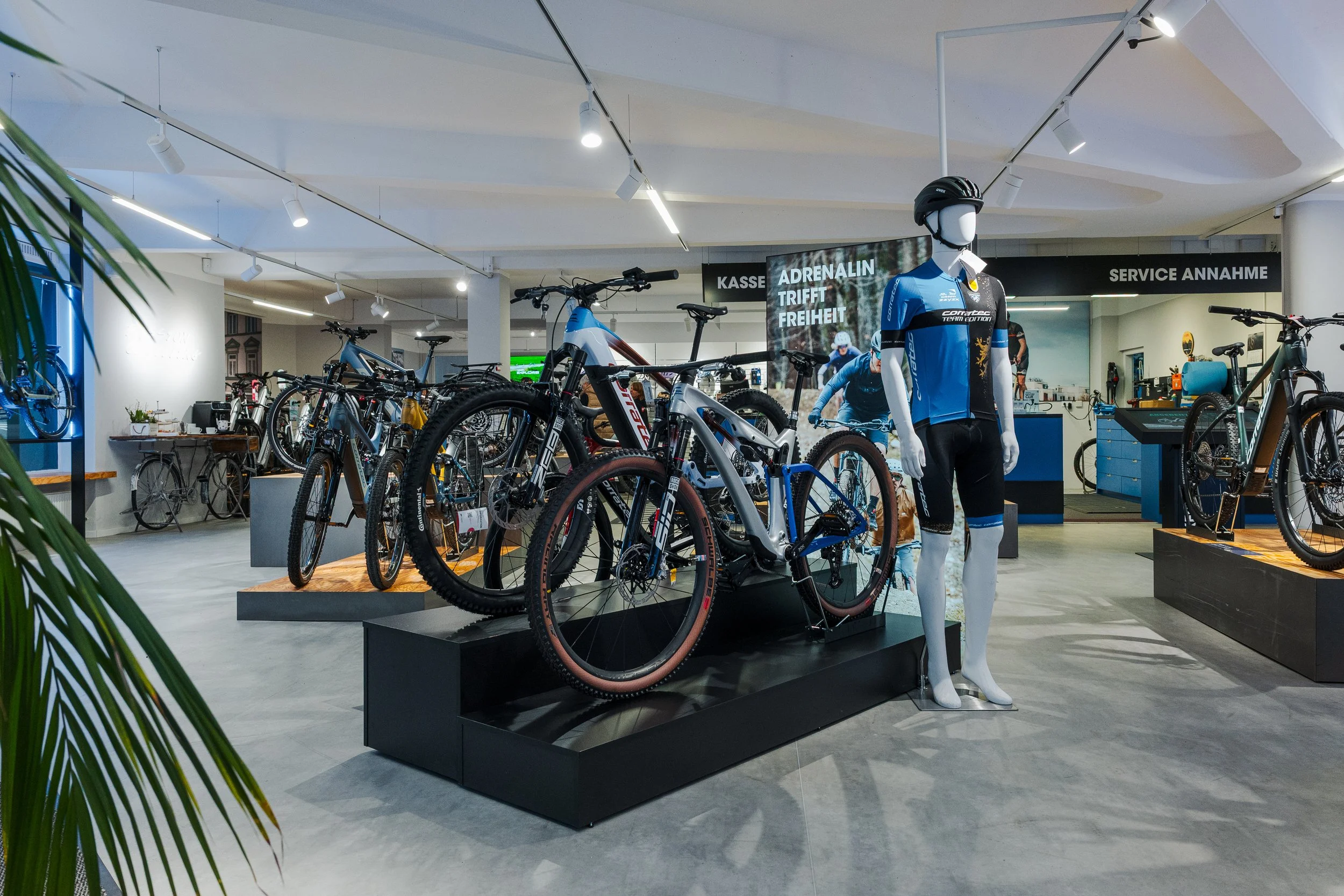 Riebold_corratec_Store_20260313_23.jpg