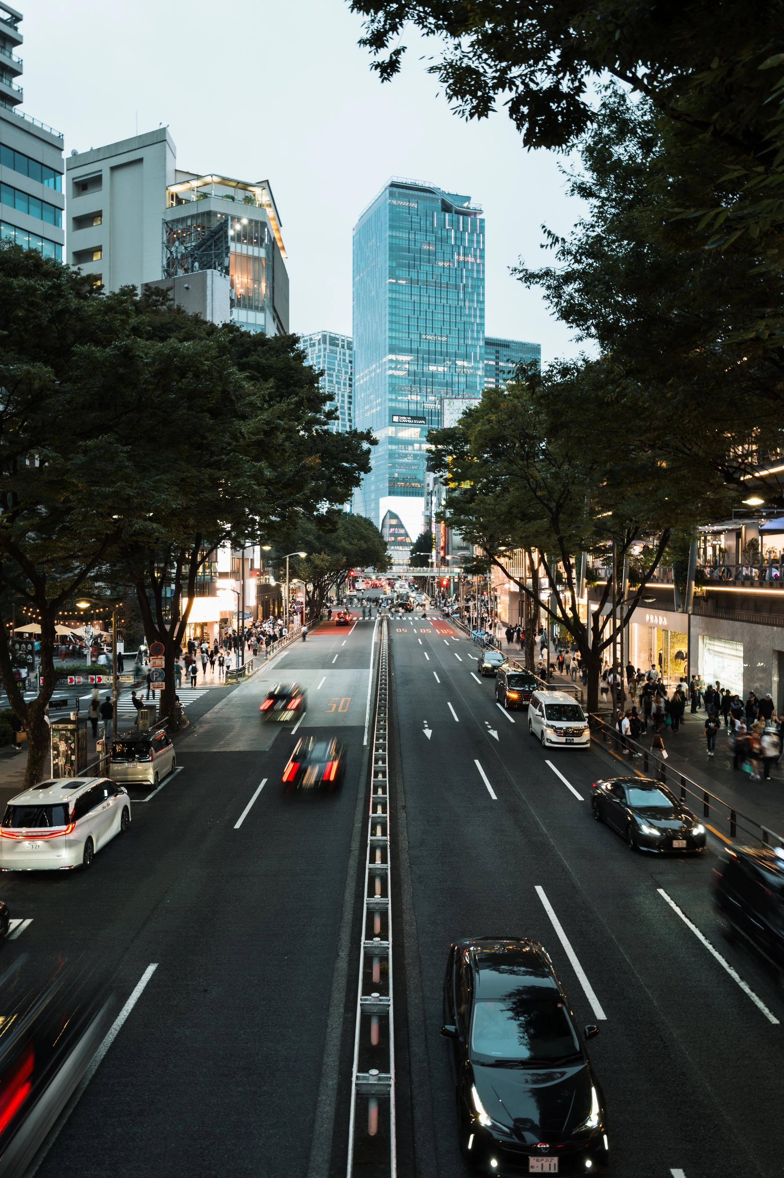 L1040524.jpg
