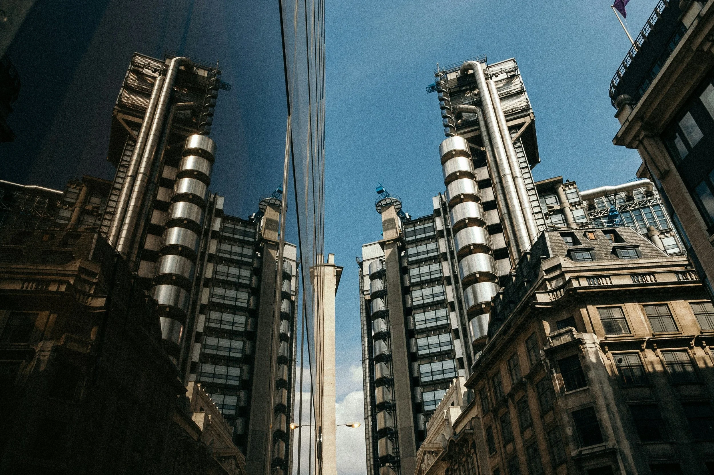 Renew Risk expands leadership team and product suite in response to increasing demand