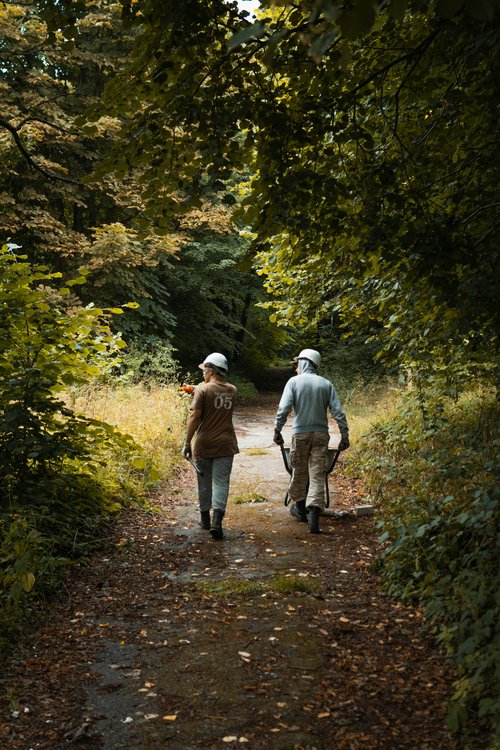Créer des îlots de biodiversité