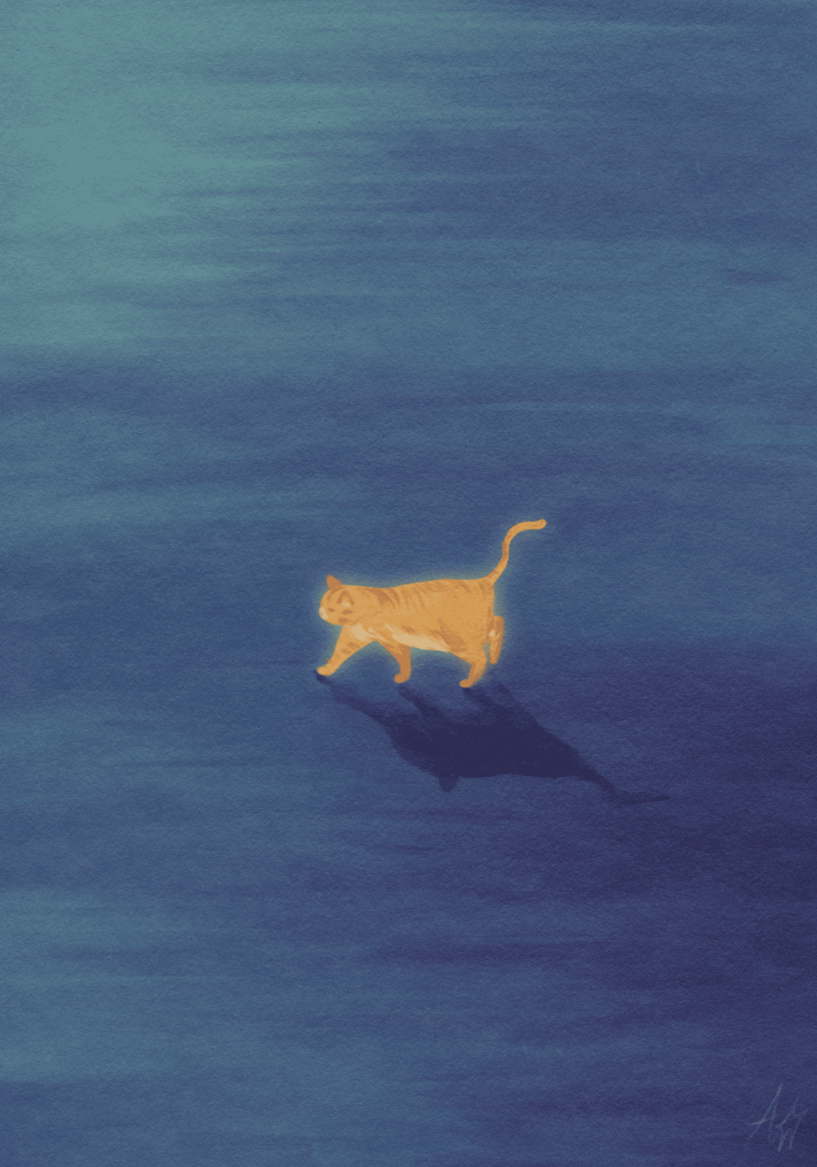 Cat in Blue, 2025