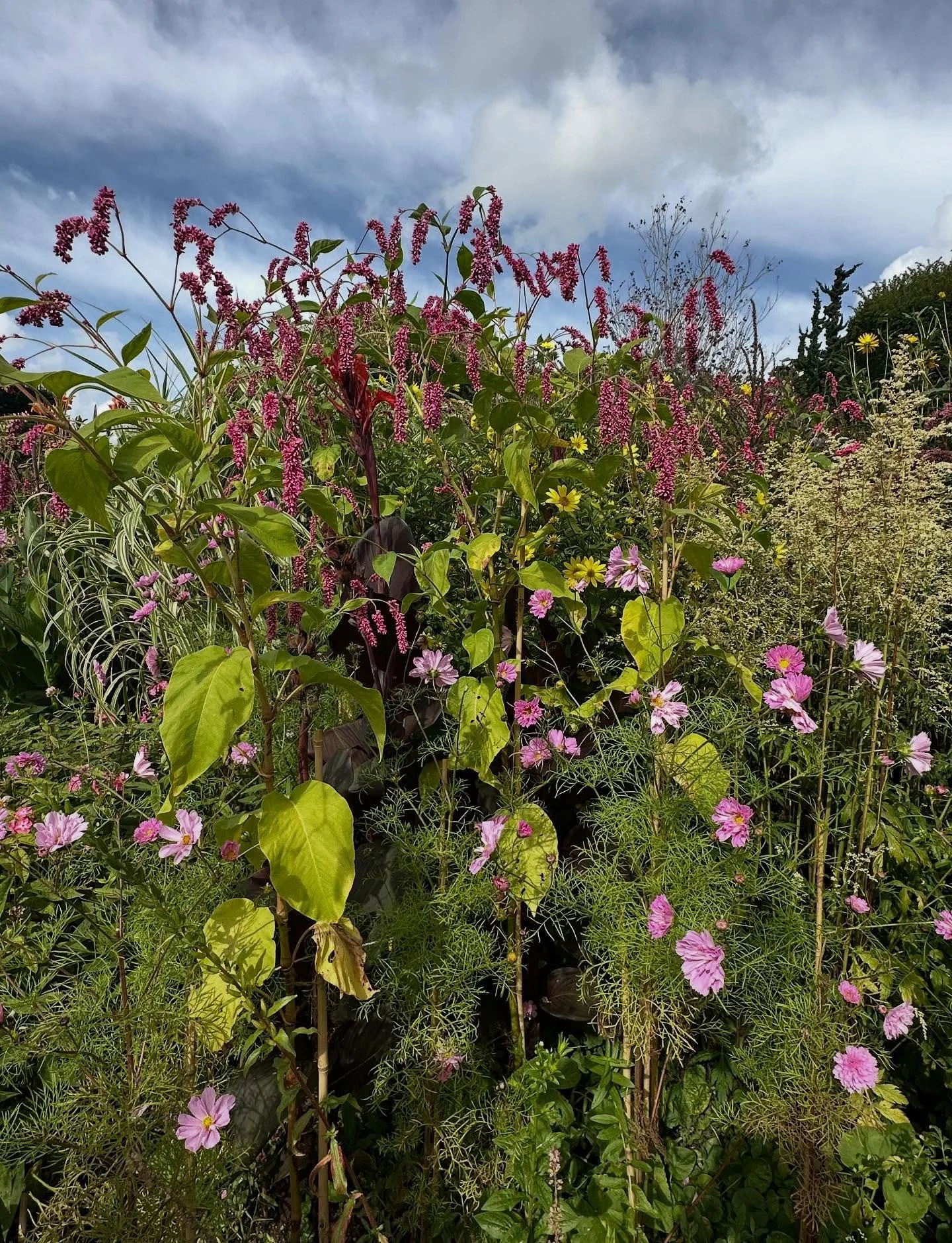 Last week I managed to visit two wonderful wildlife focused sites: @greatdixterofficial and @kneppwilding

Pictures don&rsquo;t really do either justice but they are both incredible examples of how we can live alongside nature in a reciprocal manner.