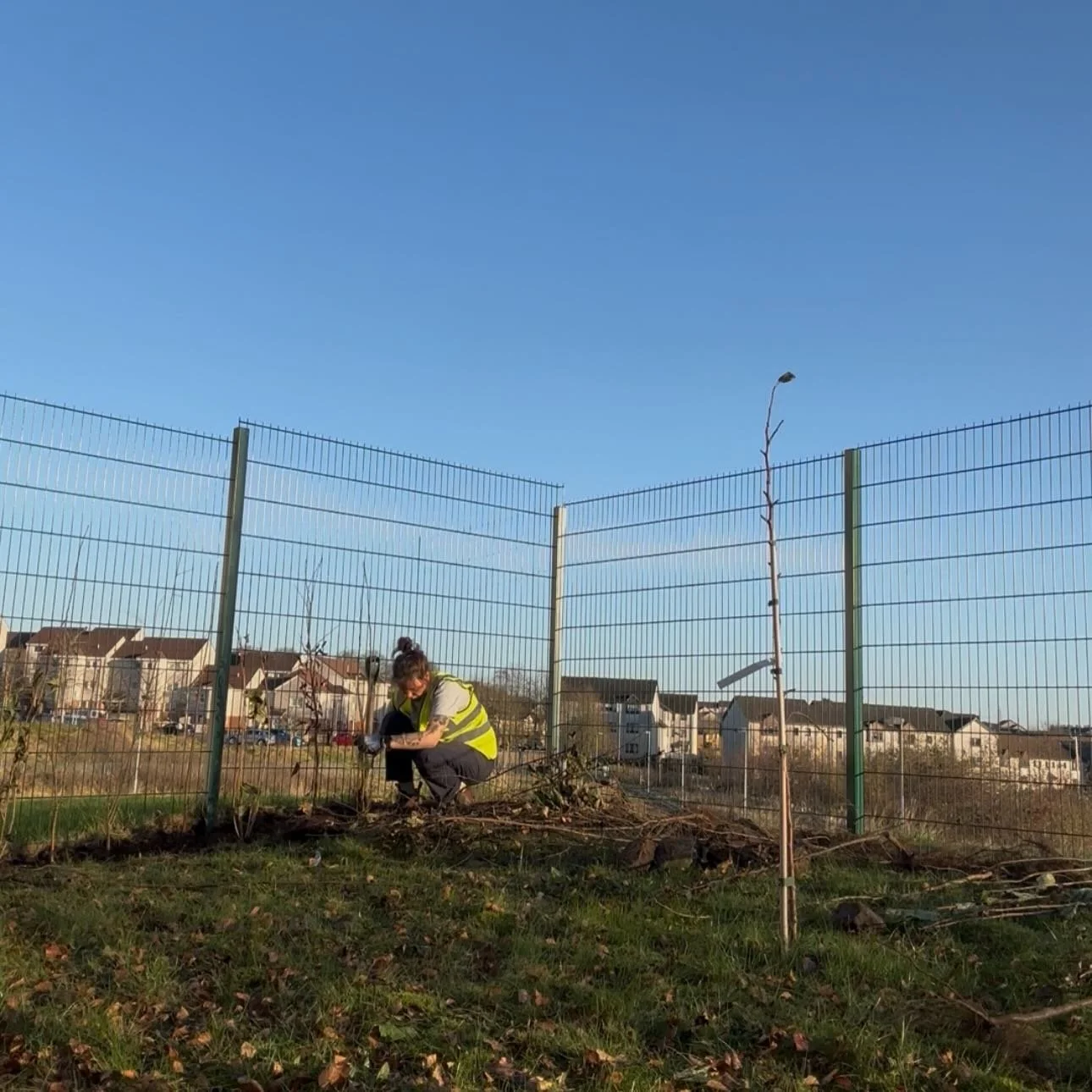 Where&rsquo;s she been? Busy! 

At a time when most folk slow down for the year I&rsquo;ve been getting busier. Classic. 

I have two new roles:

🌀Biodiversity &amp; Rewilding Manager/dog photographer with @tomangel_studio (see photos 1&amp;2 for ev