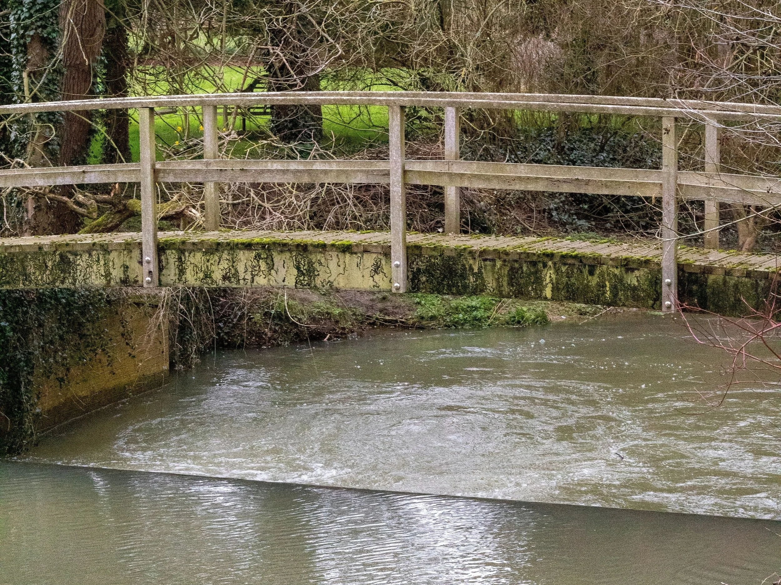 Doit-on conserver la mémoire de ceux qui disparaissent ?