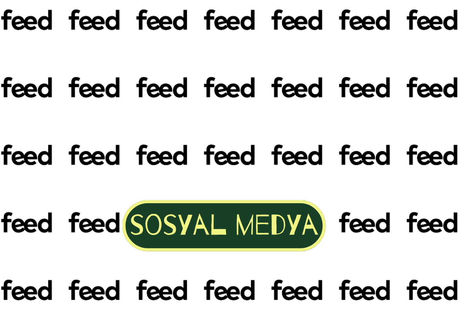 FEED SOCIAL MEDIA