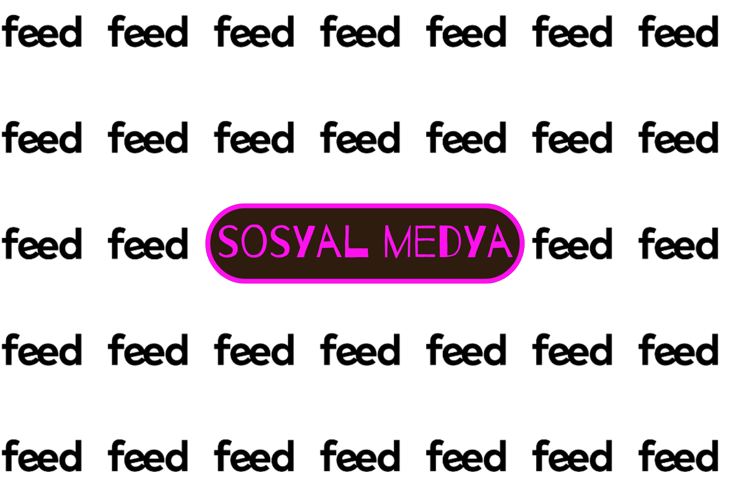 FEED SOCIAL MEDIA