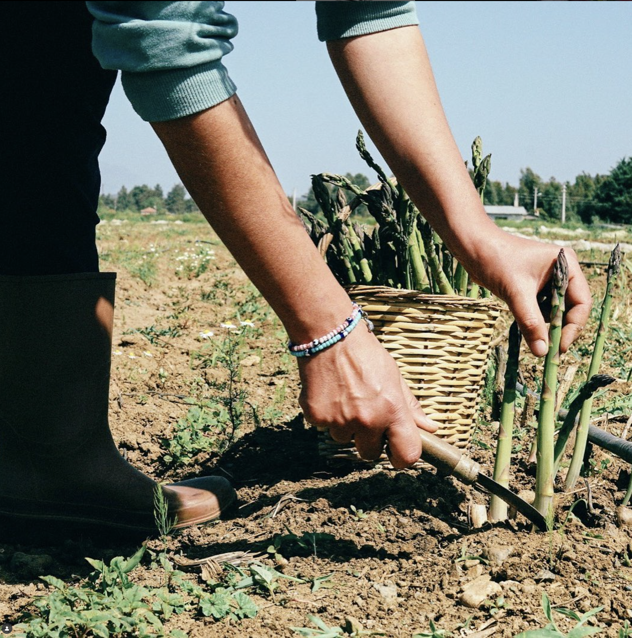 Screenshot 2025-07-01 at 21.53.38.png