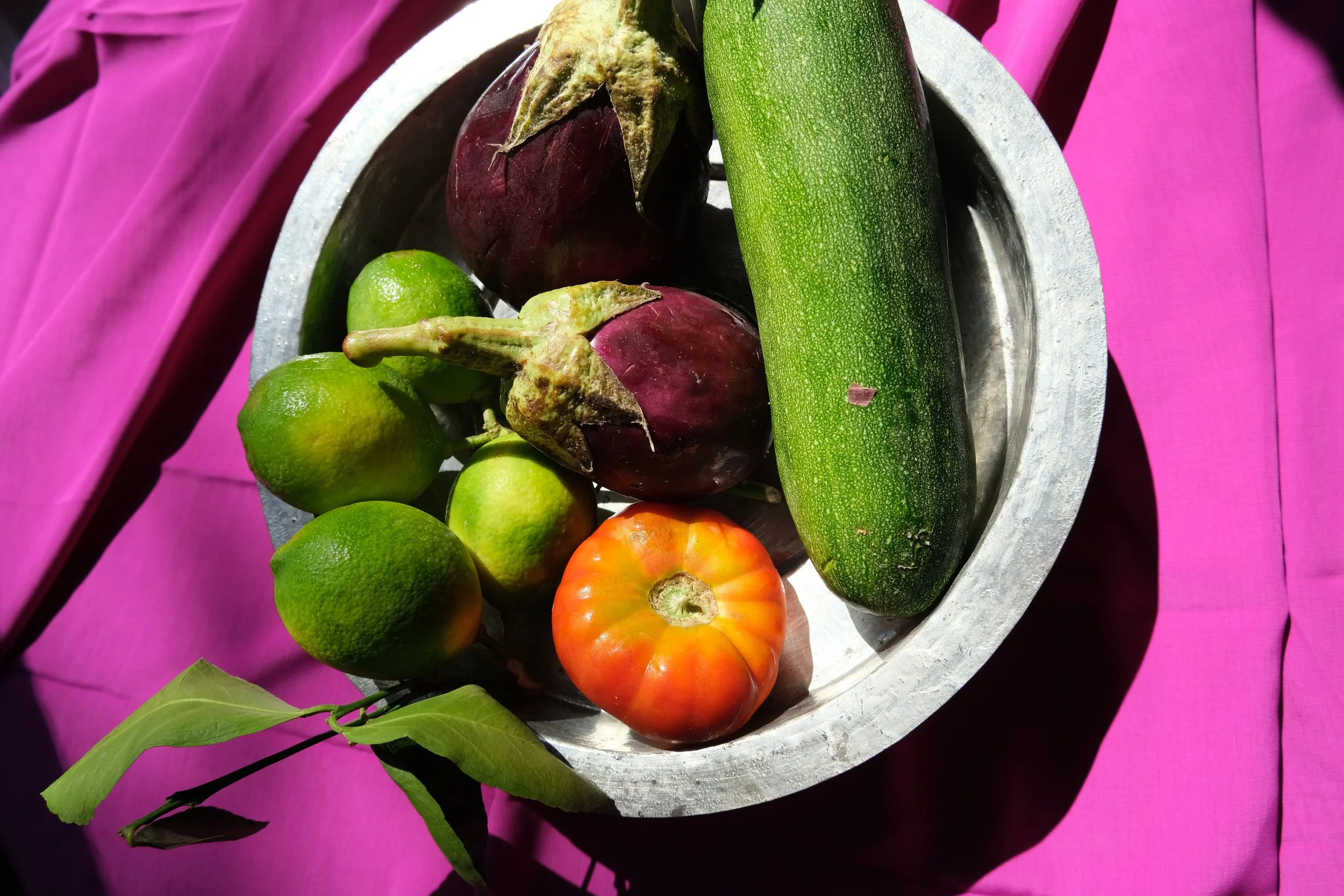 Alüminyum bir tepsi içinde domates, yeşil limon, salatalık ve patlıcan bulunuyor, tepsi mor bir zemin üzerinde yer alıyor.