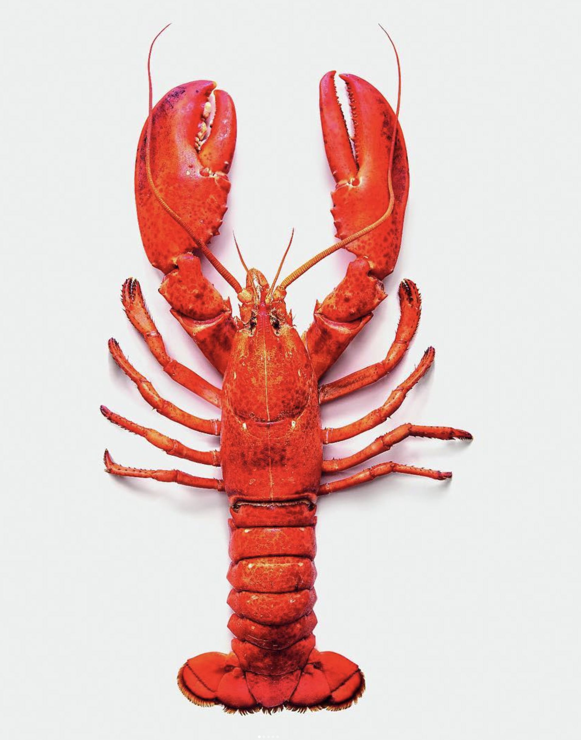 Screenshot 2025-07-01 at 22.00.57.png