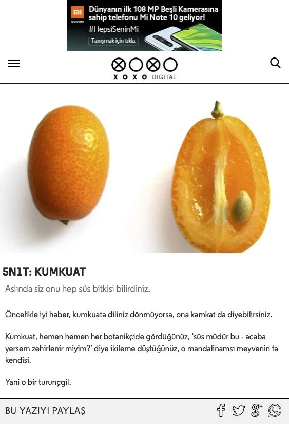 5N1T: KUMKUAT | XOXO Digital.jpg